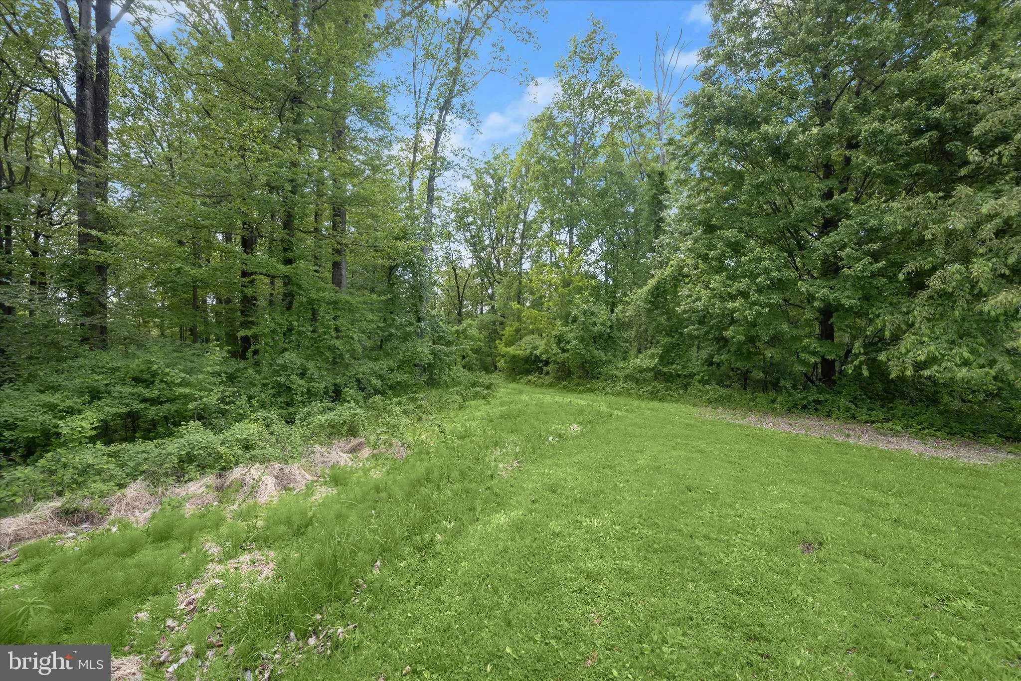 Additional image 21 of 2994 Falls Run Road, Randallstown, MD 21133