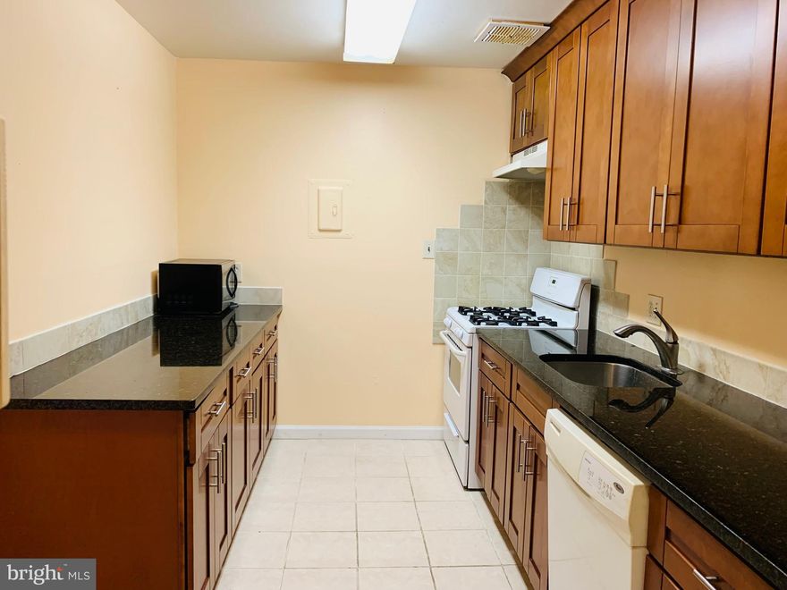 Rent included Electricity, Gas, Trash Removal, Water. Large one bed room with den, formal living and dining combo. Renovated bath room & Kitchen. walk-in closet, large balcony, Parking lot with ample free parking, walking distance to shopping center, less than one mile from Pike & Rose, close to White Flint Metro. Rock Creek Park, easy access to 495, 270, community features include a outdoor pool, tennis court and basketball field. Walter Johnson high school, immediately occupancy, application fee $50 per adult. Available on 6/1/2024