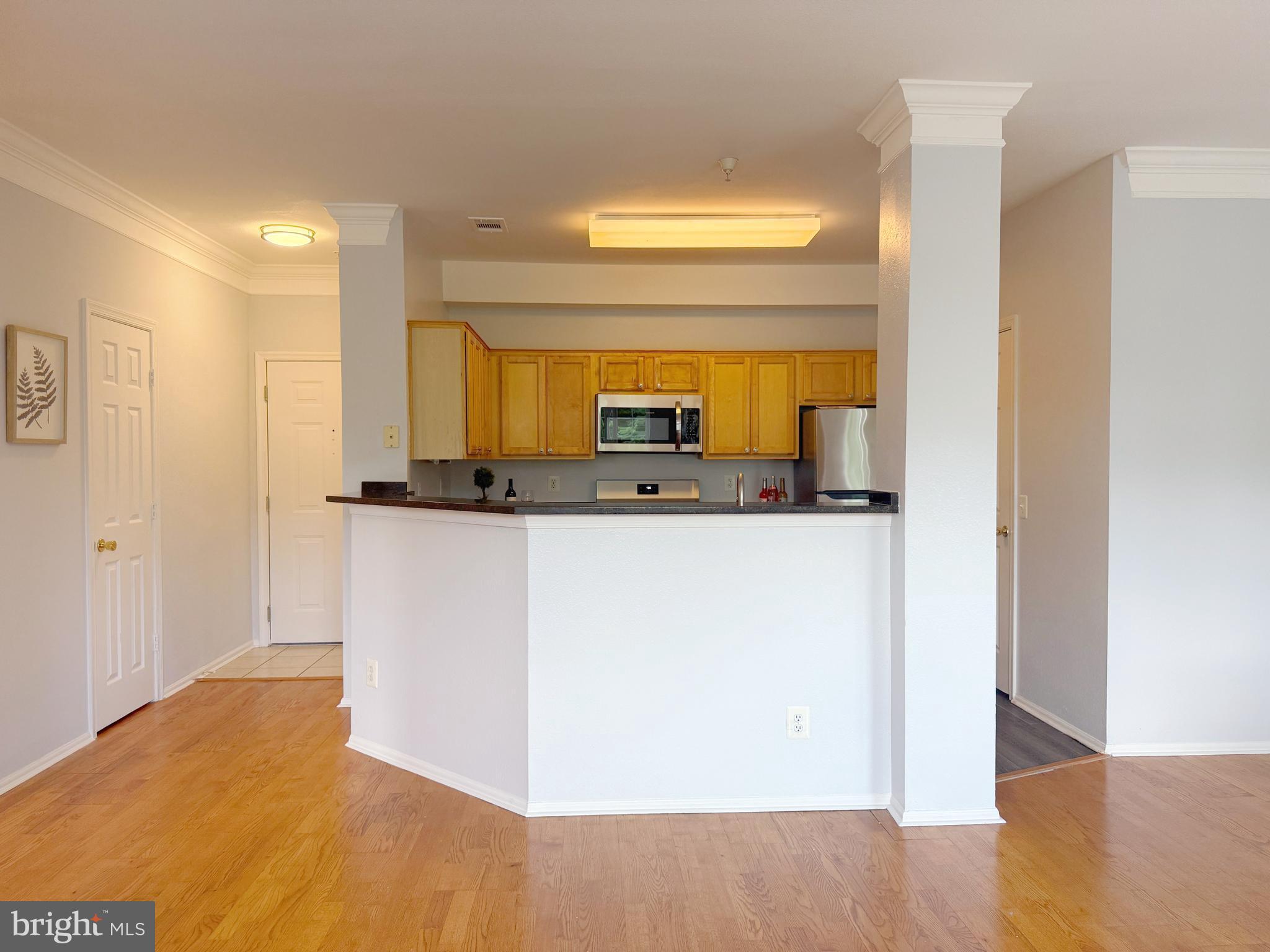 1530 SPRING GATE DRIVE 9317