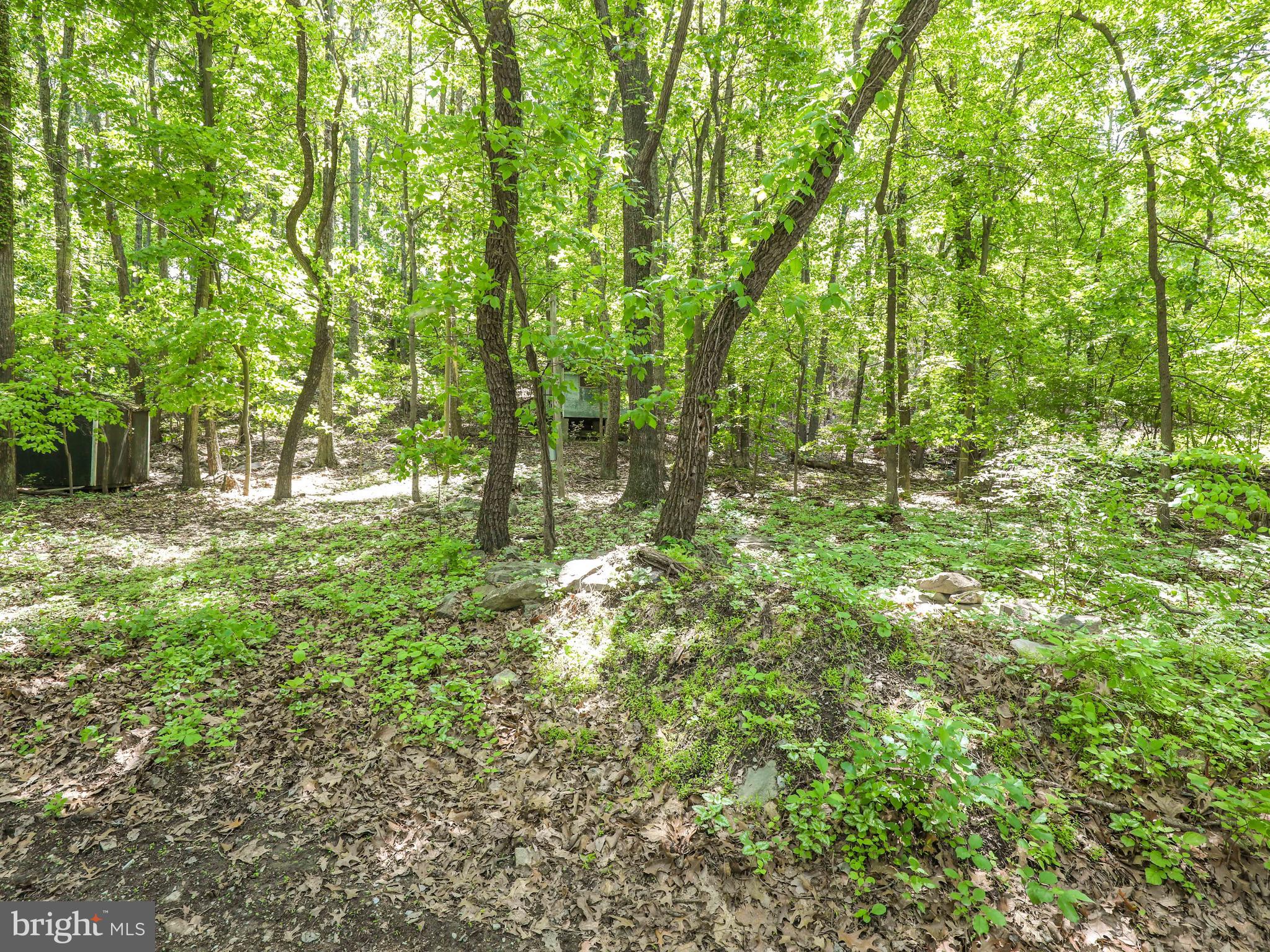 Sections I#3, I#4, J#3 MOUNTAIN TOP TRAIL