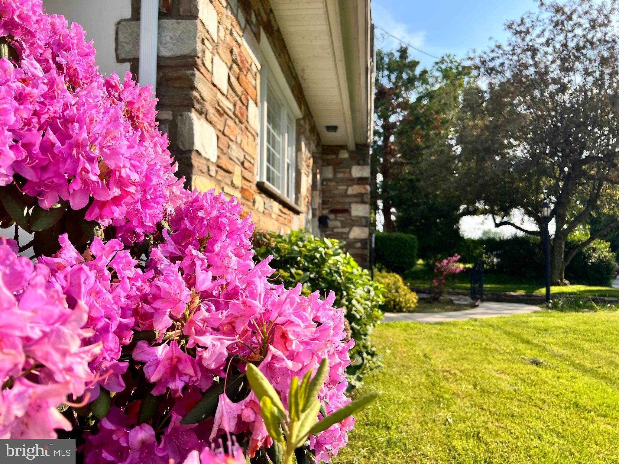 FOX CHASE - Residential