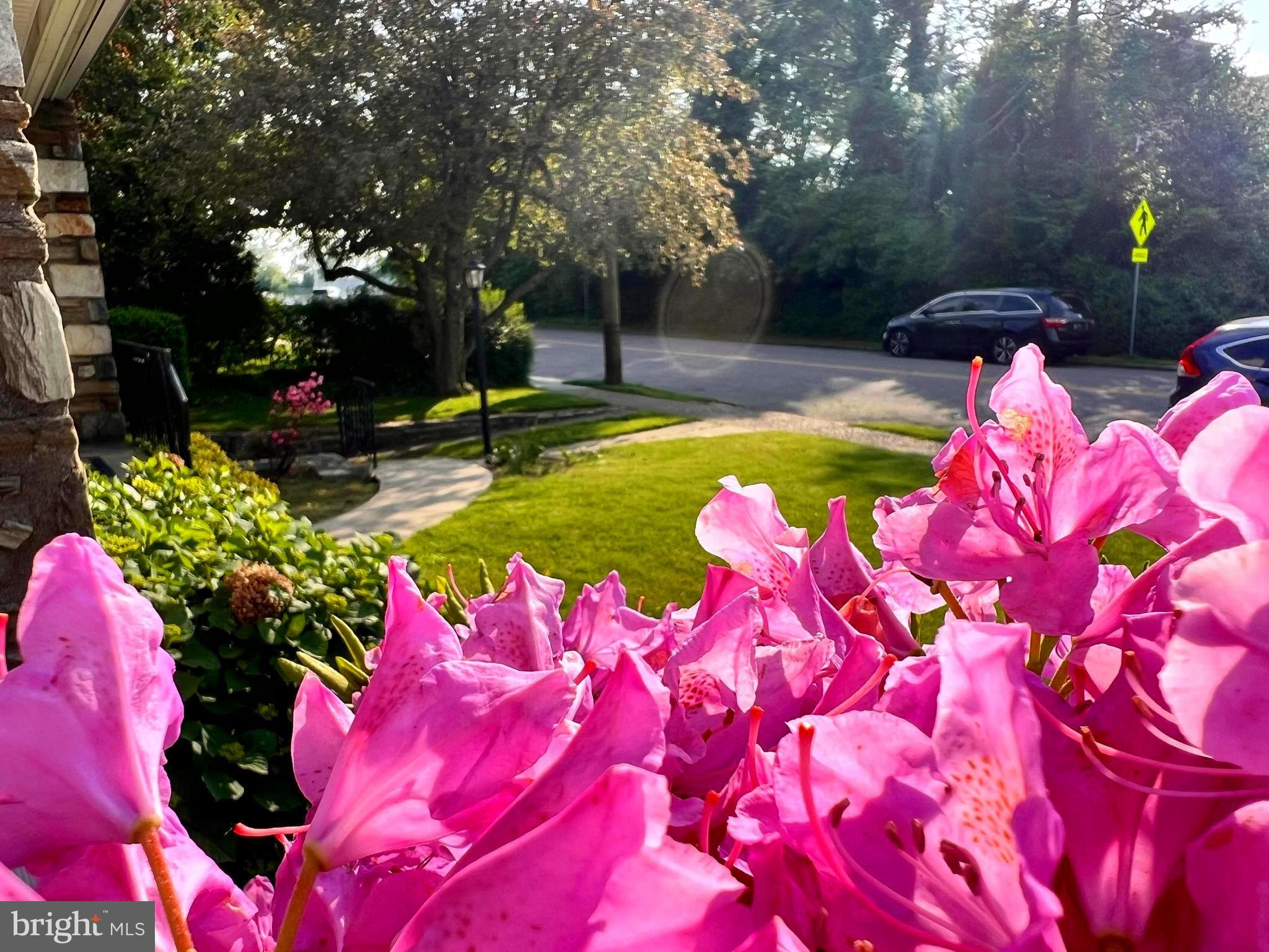 FOX CHASE - Residential