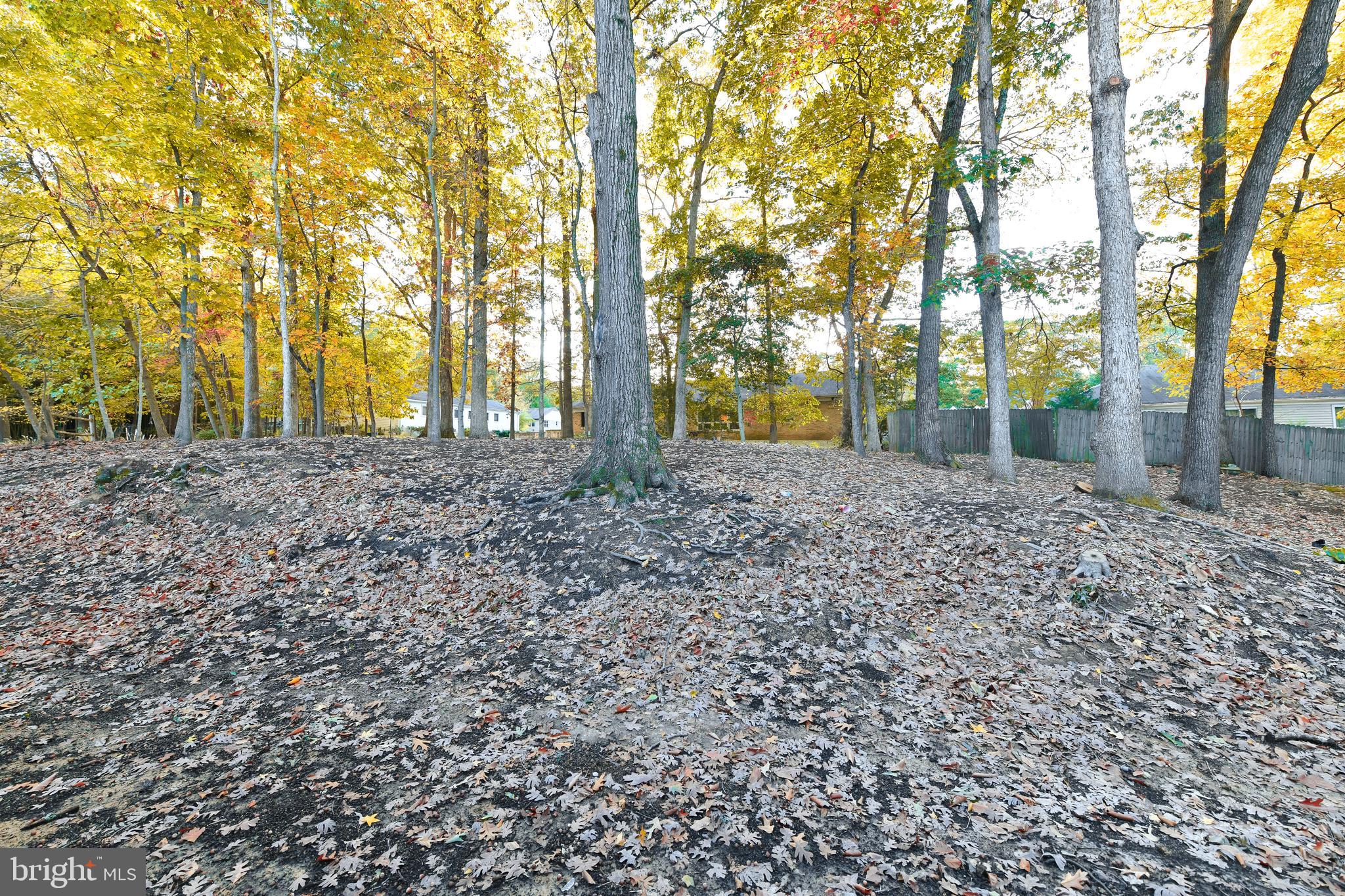 TANTALLON ON THE POTOMAC - Residential