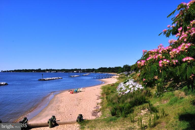 BAY RIDGE - Residential Lease