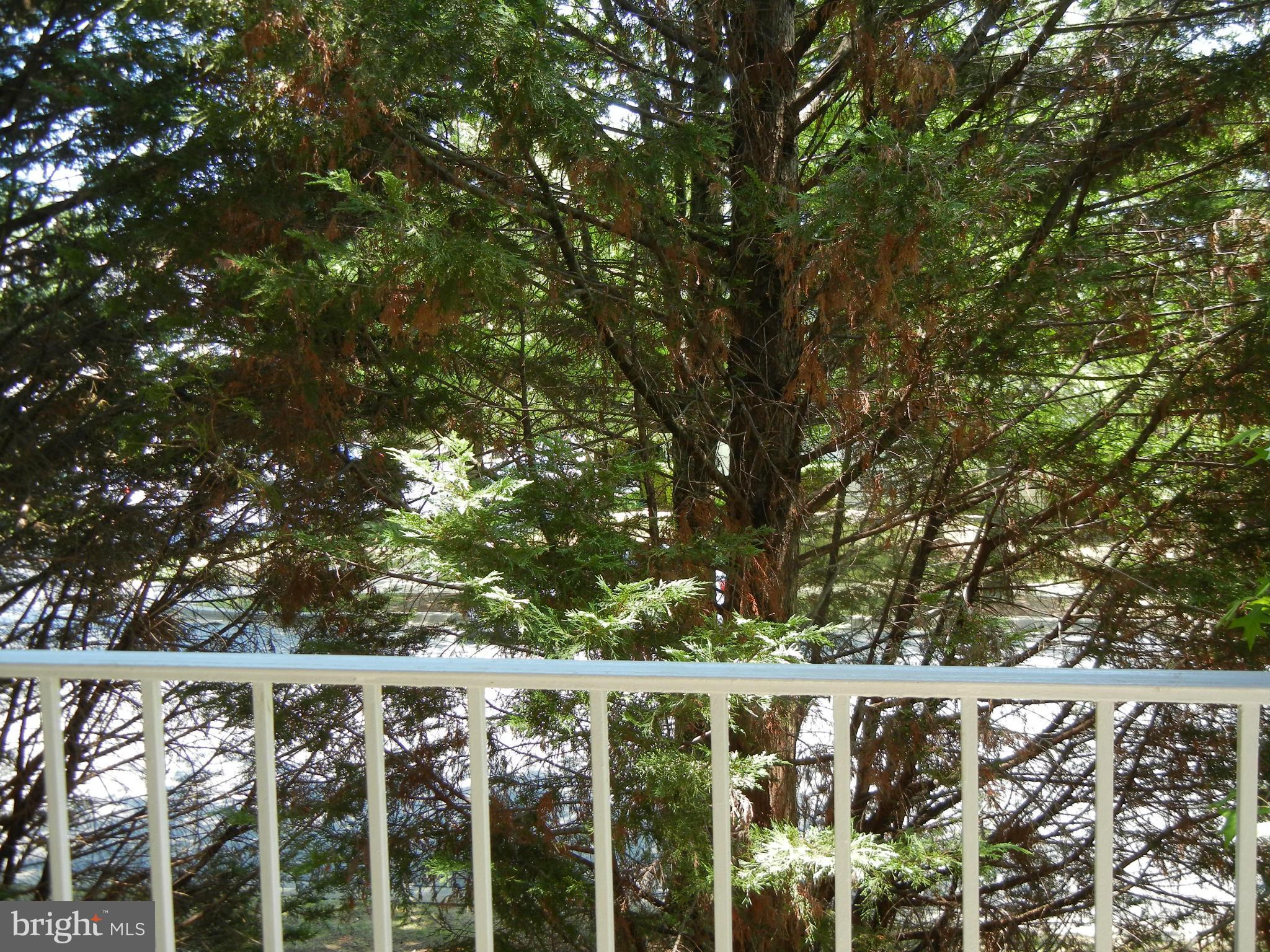 WINDGATE CONDO - Residential