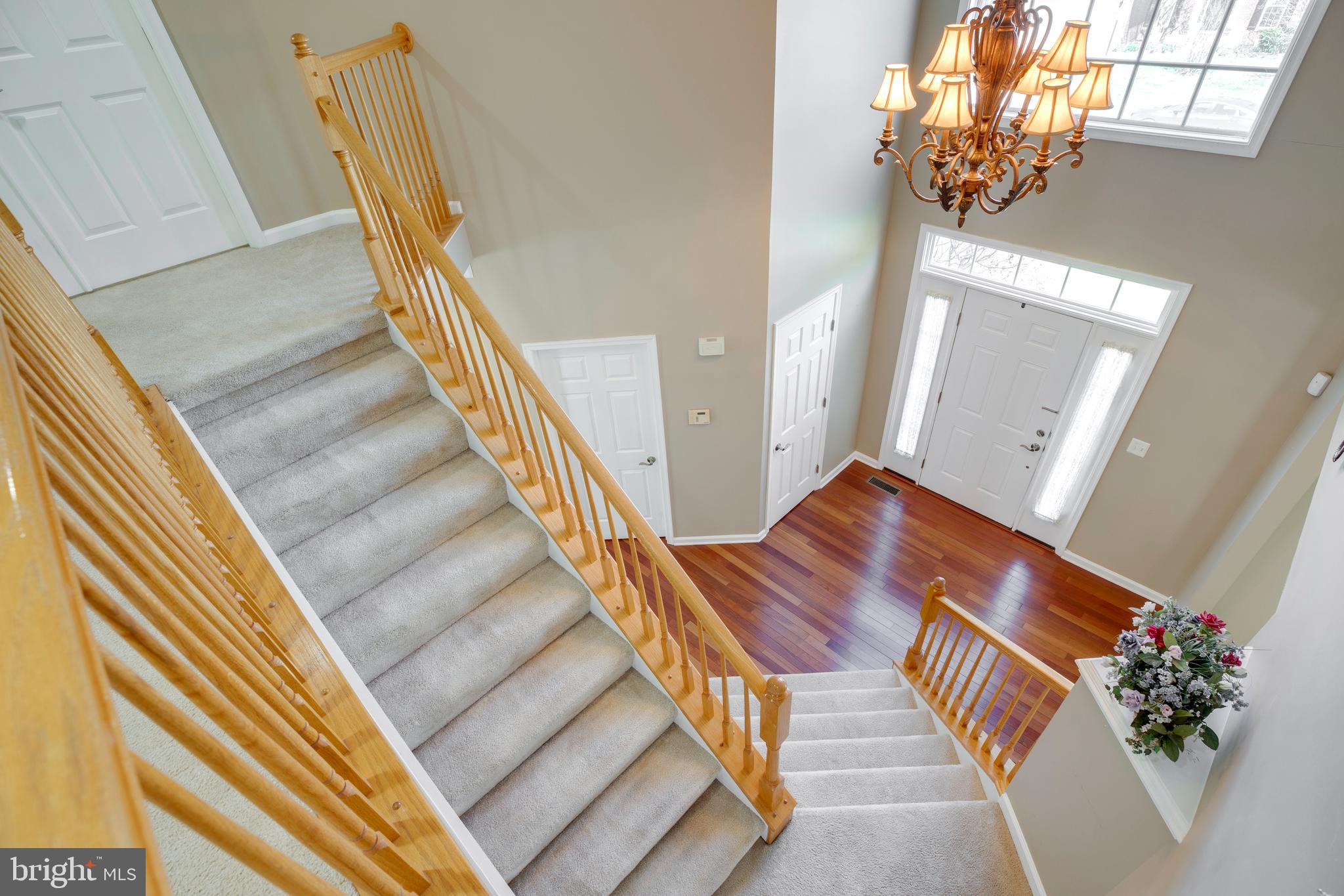 BRAEMAR - Residential