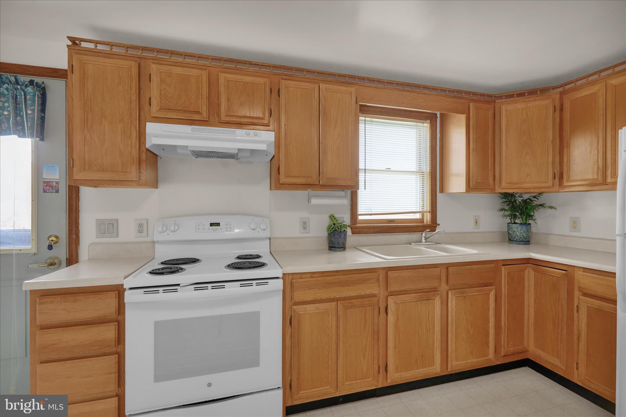 555 HONEYSUCKLE COURT