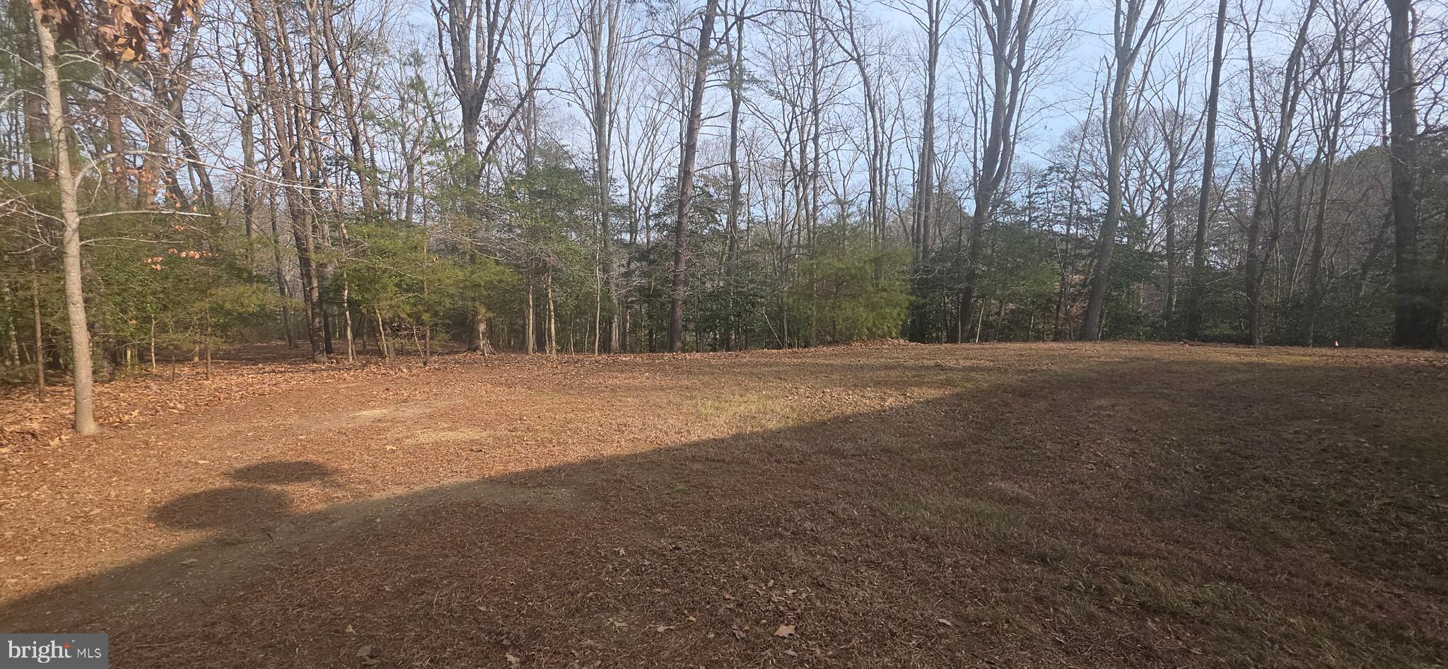 12106 LONG WOLF LANE