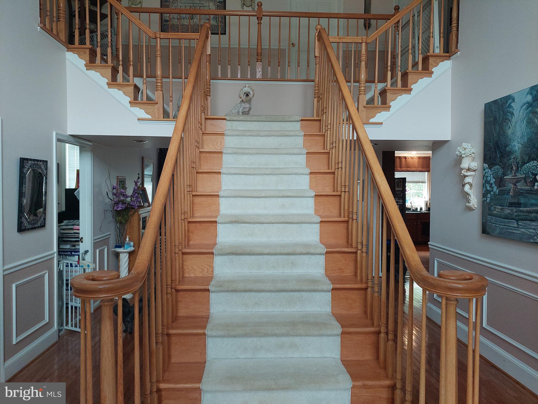 WILLOW SPRINGS - Residential Lease