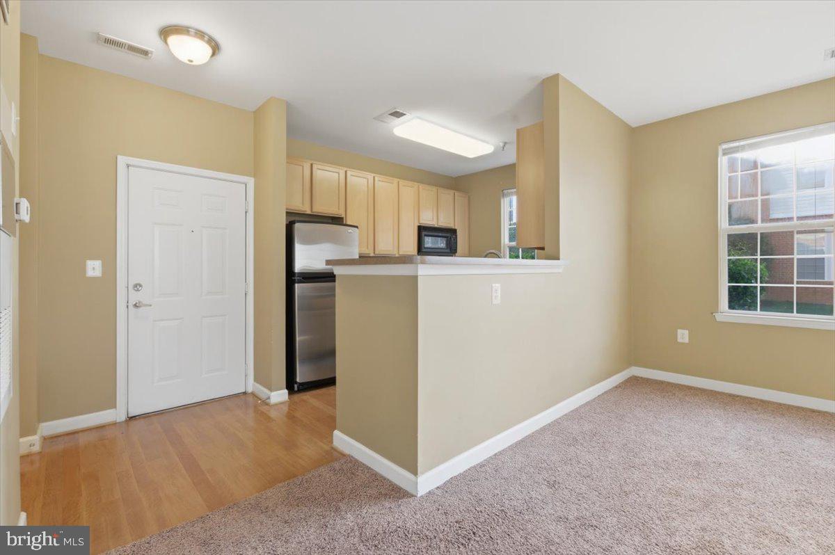 22691 BLUE ELDER TERRACE 101
