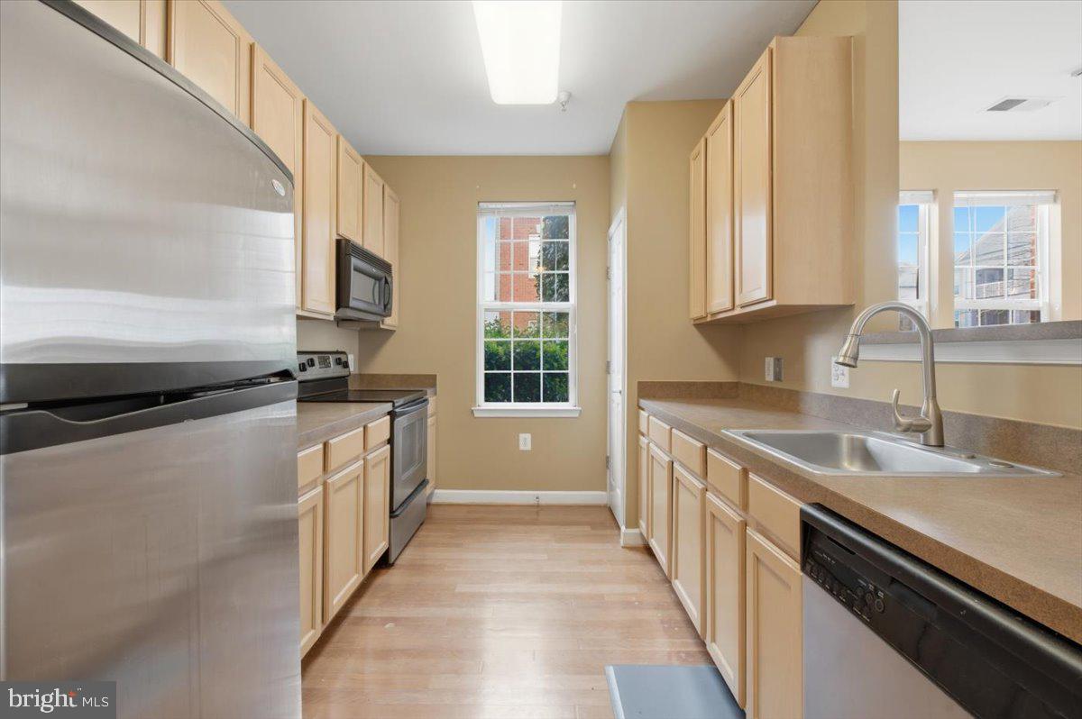 22691 BLUE ELDER TERRACE 101