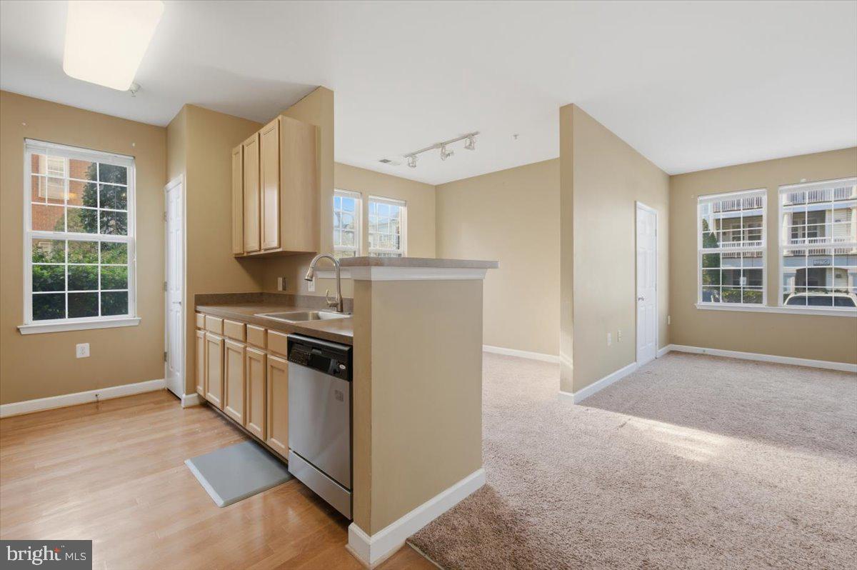 22691 BLUE ELDER TERRACE 101