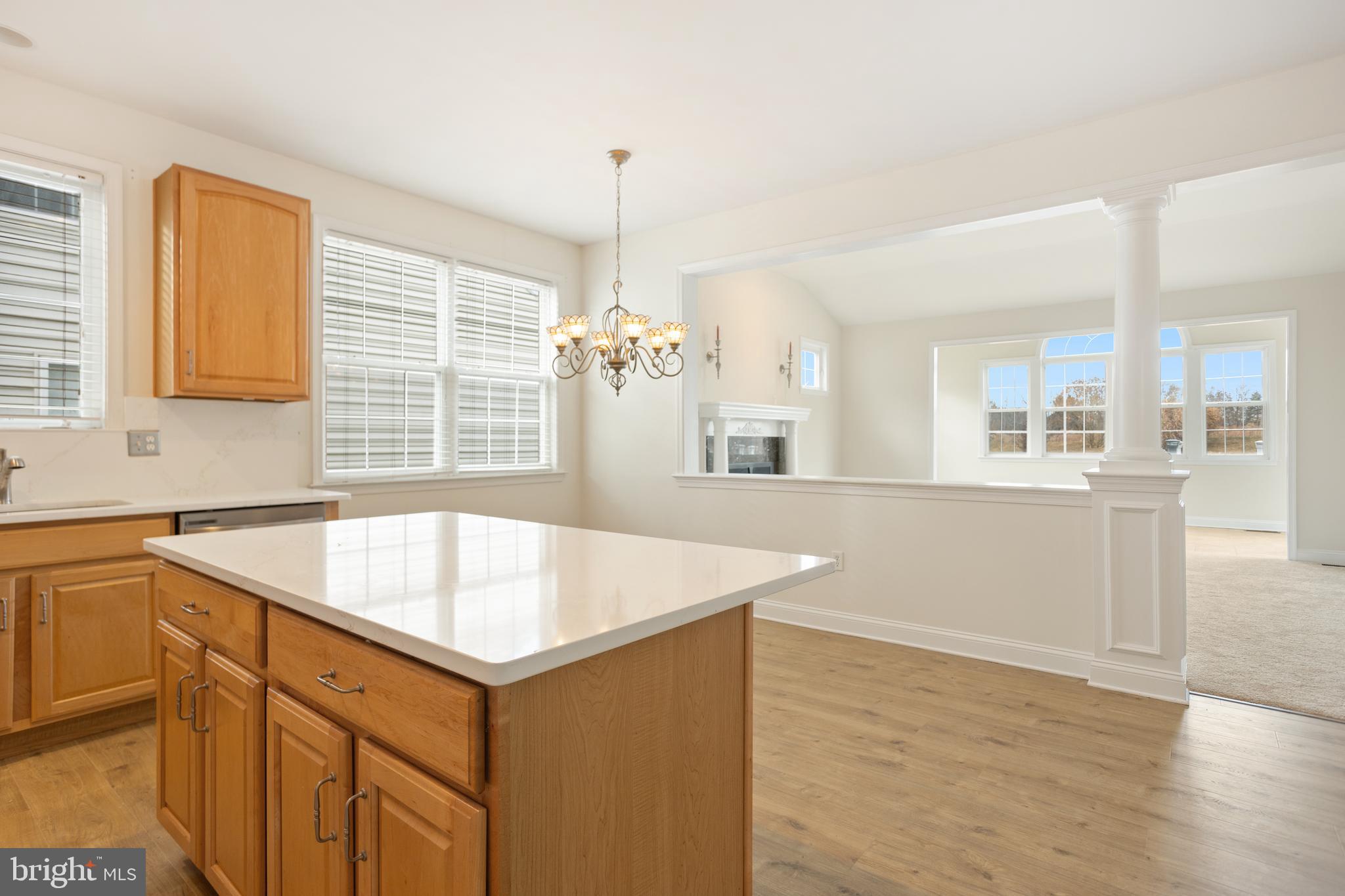 THE MEADOWS AT SKI - Residential