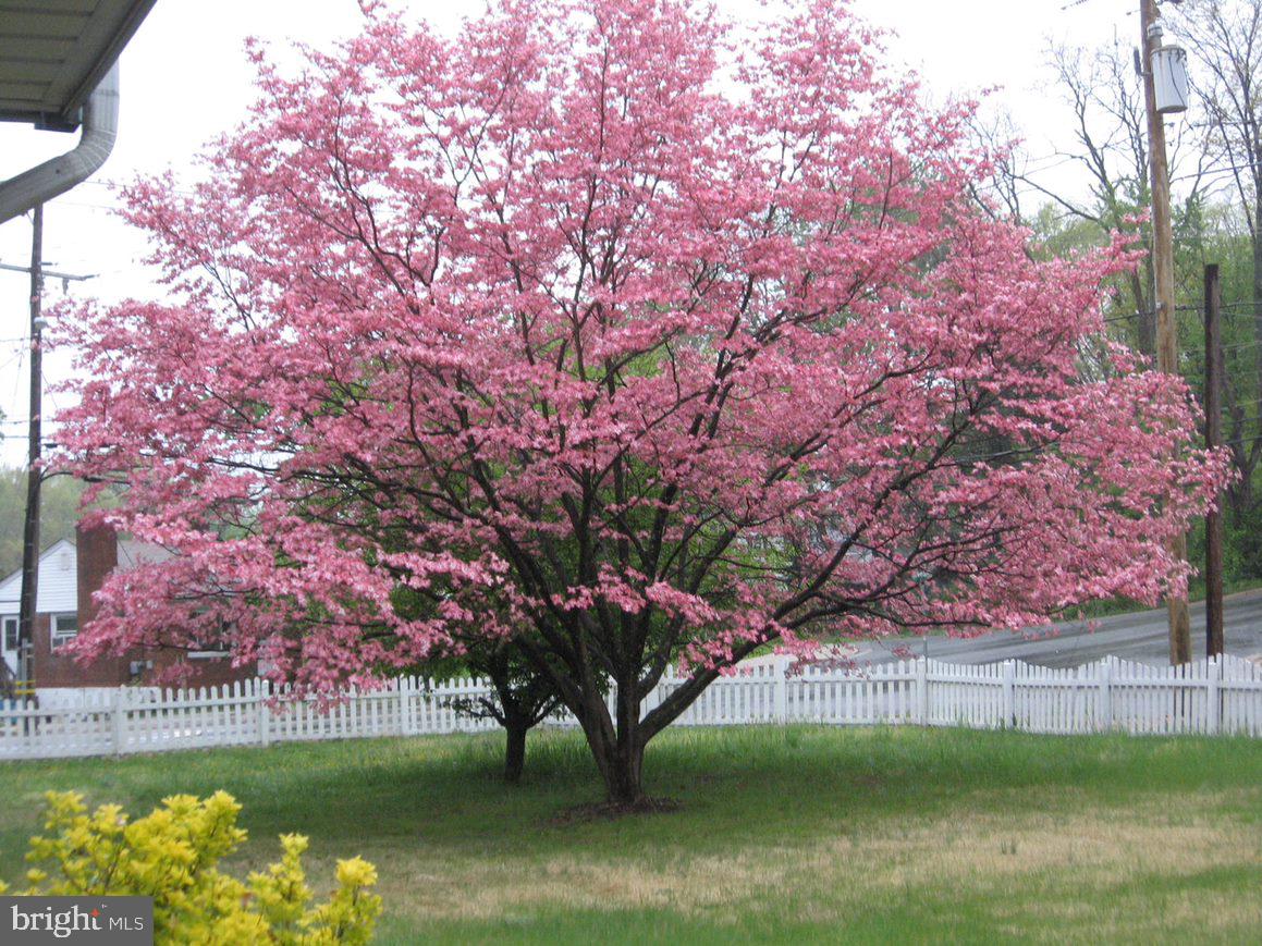 MILLWOOD - Residential