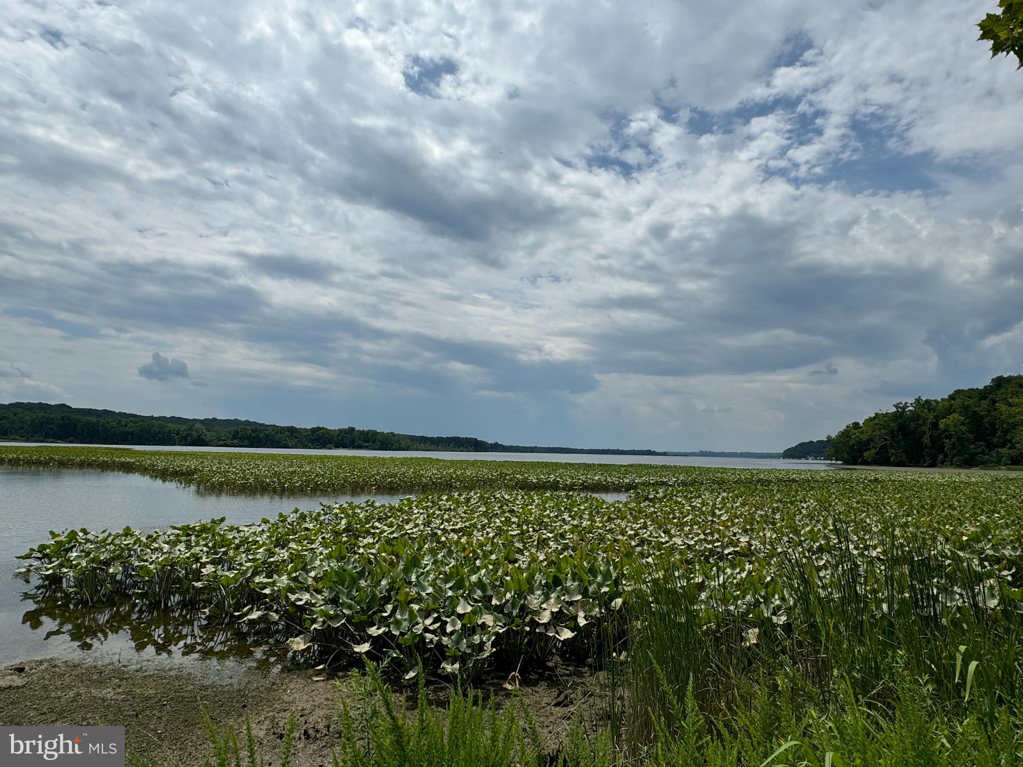 PISCATAWAY HILLS - Residential