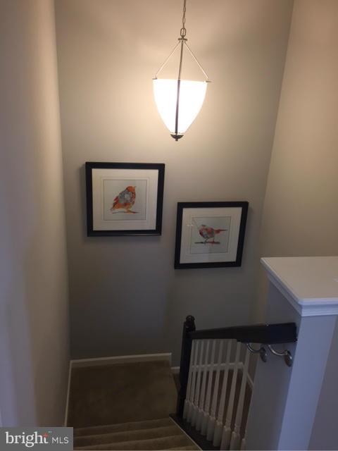 WESTCHESTER SQUARE - Residential