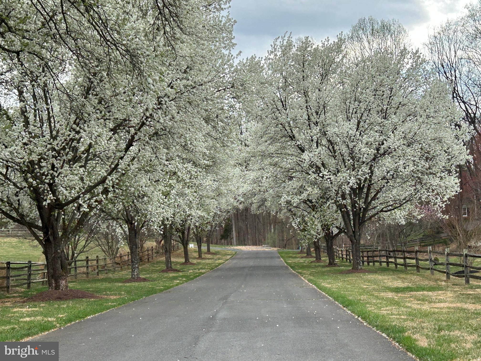 SPRING MEADOWS - Residential