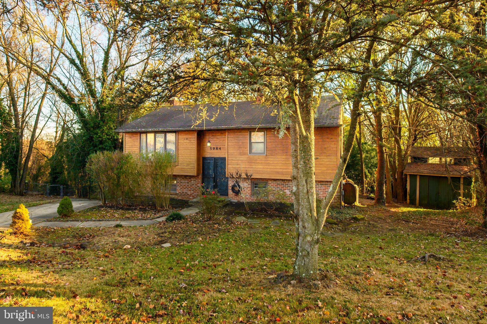 MOUNT AUGUSTINE - Residential