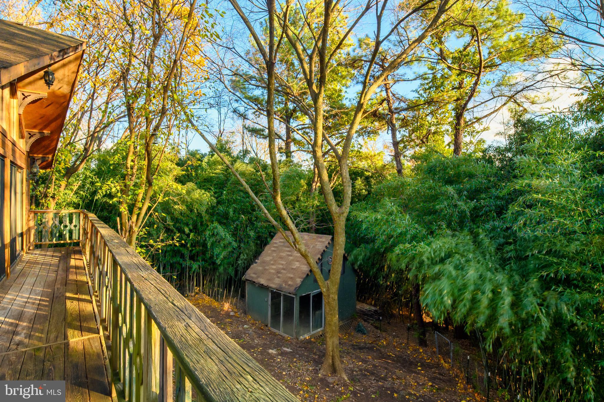 MOUNT AUGUSTINE - Residential