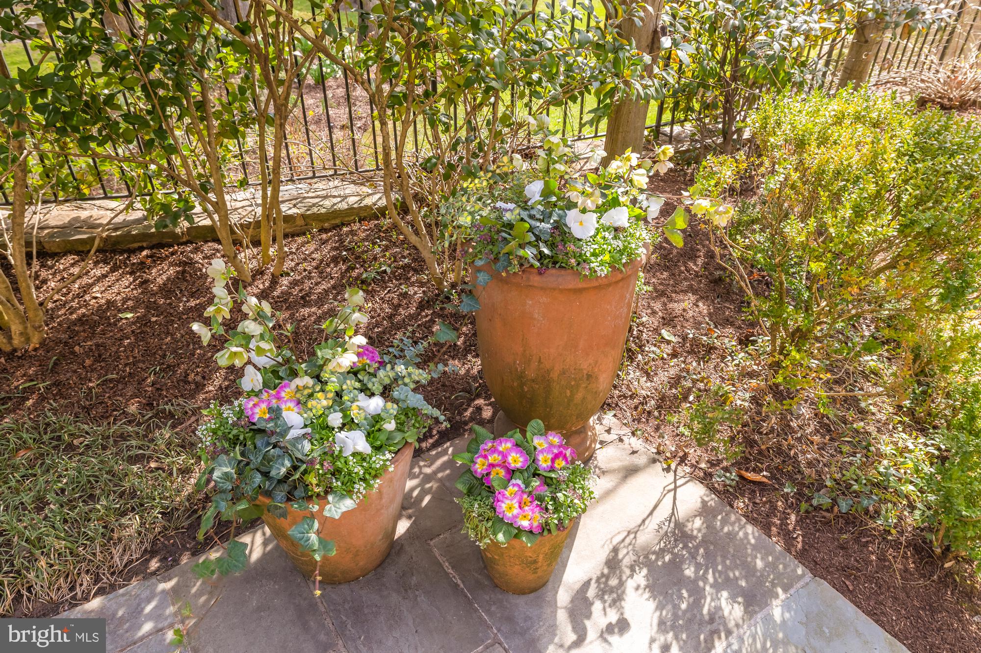 LOCUST RIDGE - Residential