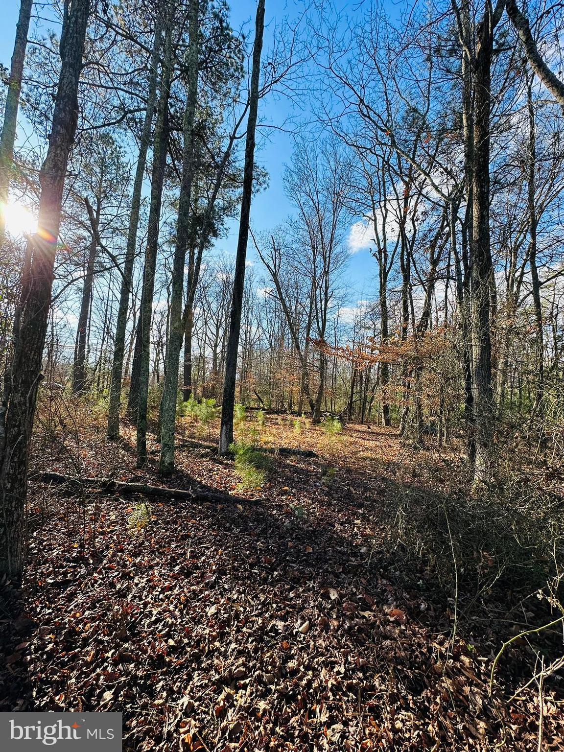 Discover this beautiful 0.77-acre lot nestled amidst serene natural surroundings, offering the perfect canvas to build your dream home! Conveniently located with a driveway easement, this property combines tranquility with accessibility.
Prime Location: Enjoy the privacy of a wooded setting while being just minutes from local amenities and attractions.
Residential Opportunity: Zoned for residential use, this property provides an ideal foundation for your vision, whether it's a cozy retreat or a spacious family home.
Easement Access: The driveway easement ensures convenient entry while preserving the natural beauty of the land.
Ample Space: With 0.77 acres, there's room for creativity—think lush landscaping, a garden, or additional outbuildings.
Don't miss out on this rare opportunity to own a piece of land with so much potential. Schedule your visit today to experience its charm firsthand!