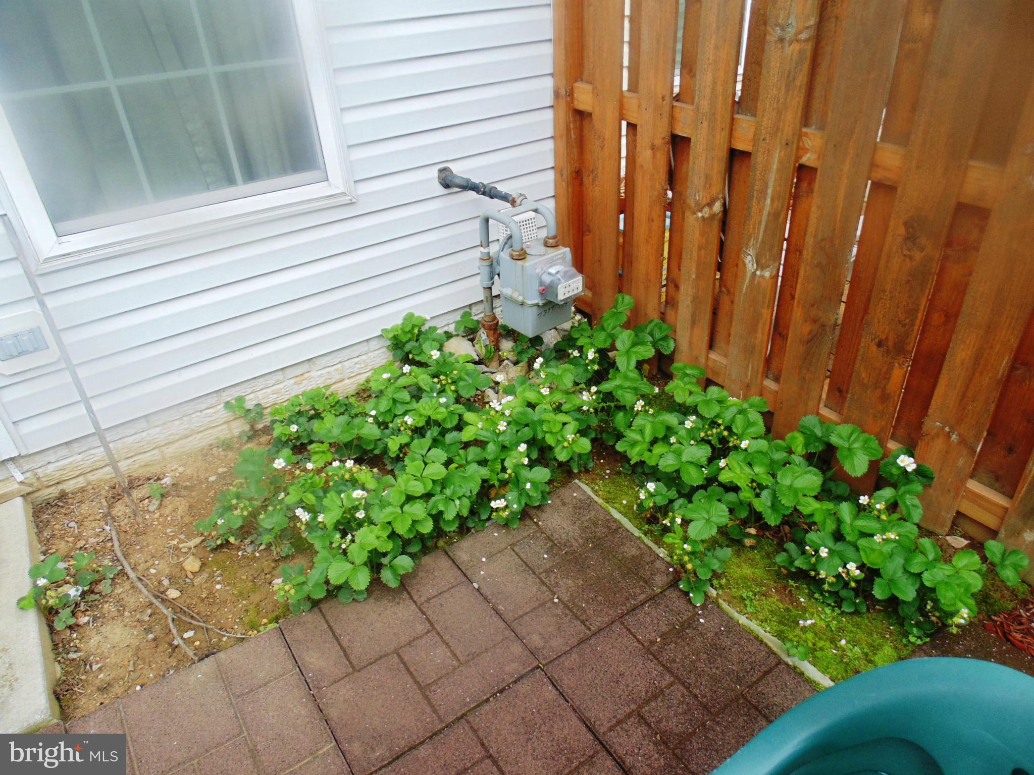 PRENTISS POINT - Residential