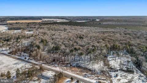 Vacant Land For Sale - 13526 Beaver Dam Road<br/> ELLENDALE, DE 19941