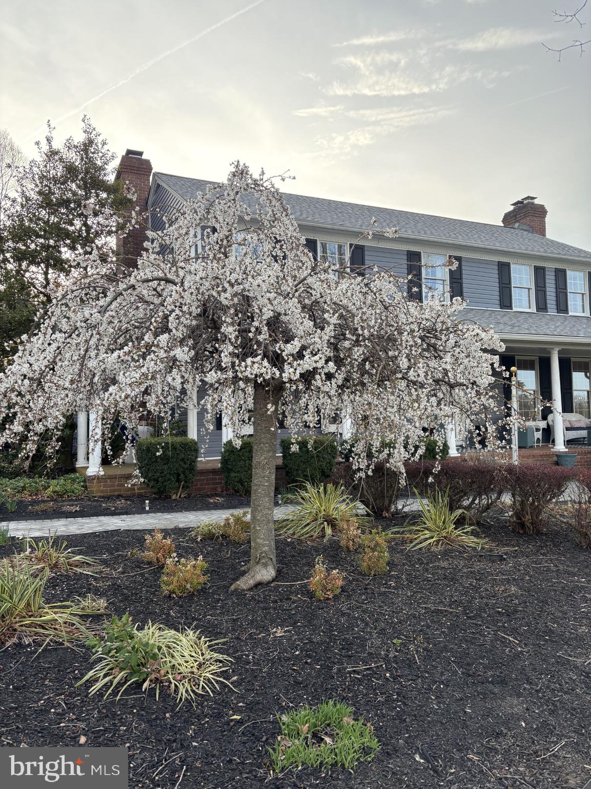 PINEY BRANCH FARMS - Residential