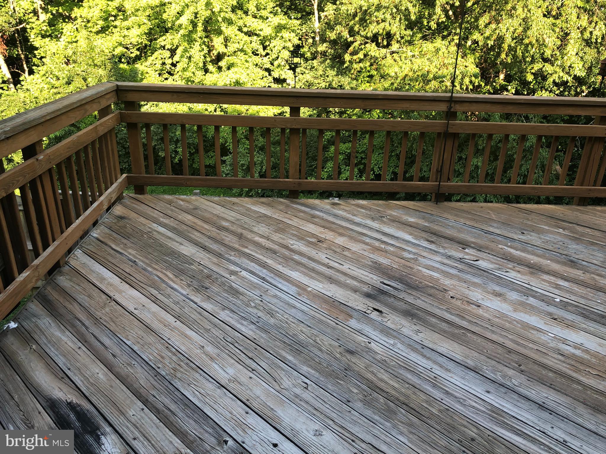 SINGLETONS GROVE - Residential Lease