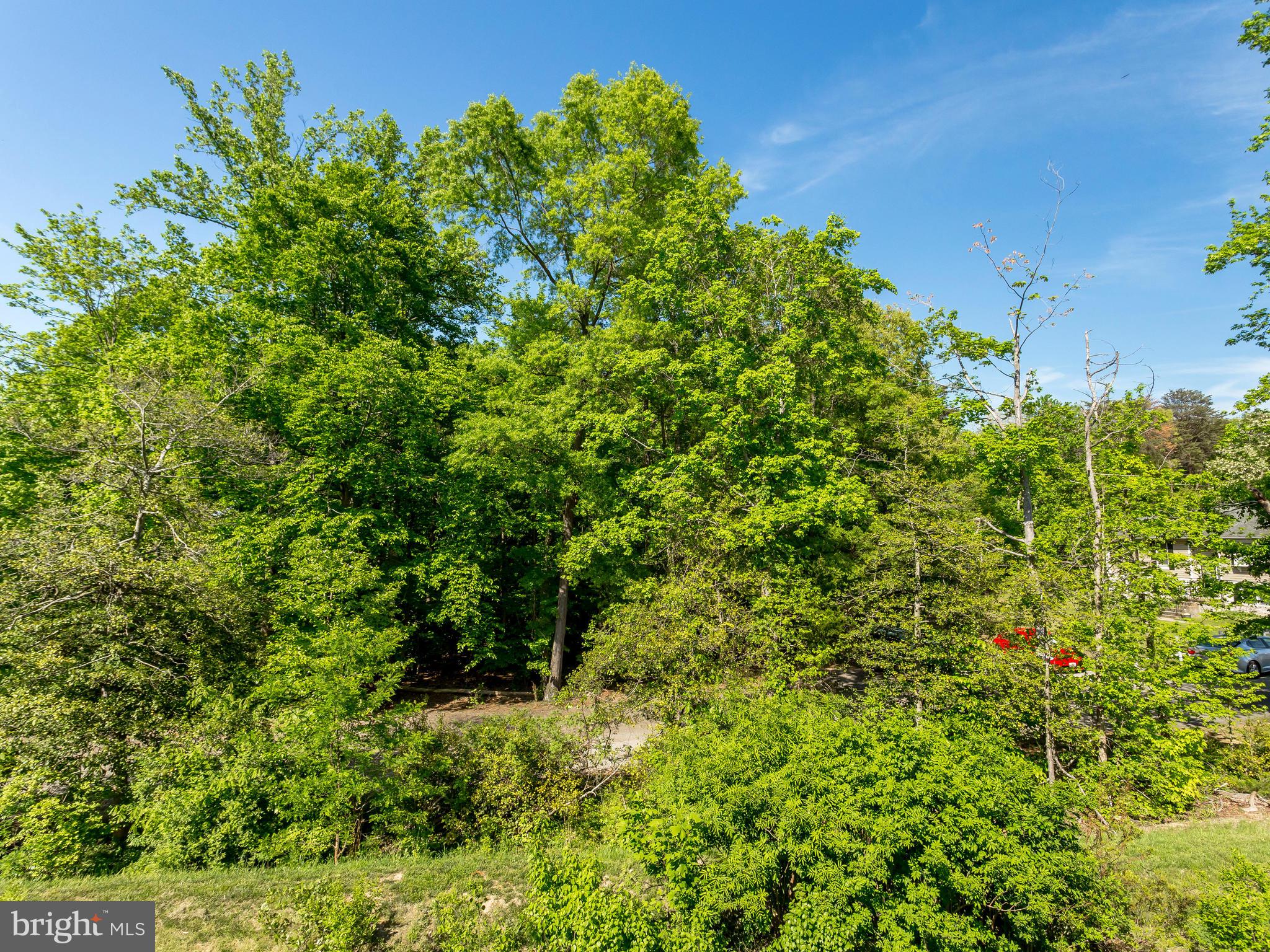 CHELSEA MANOR - Residential