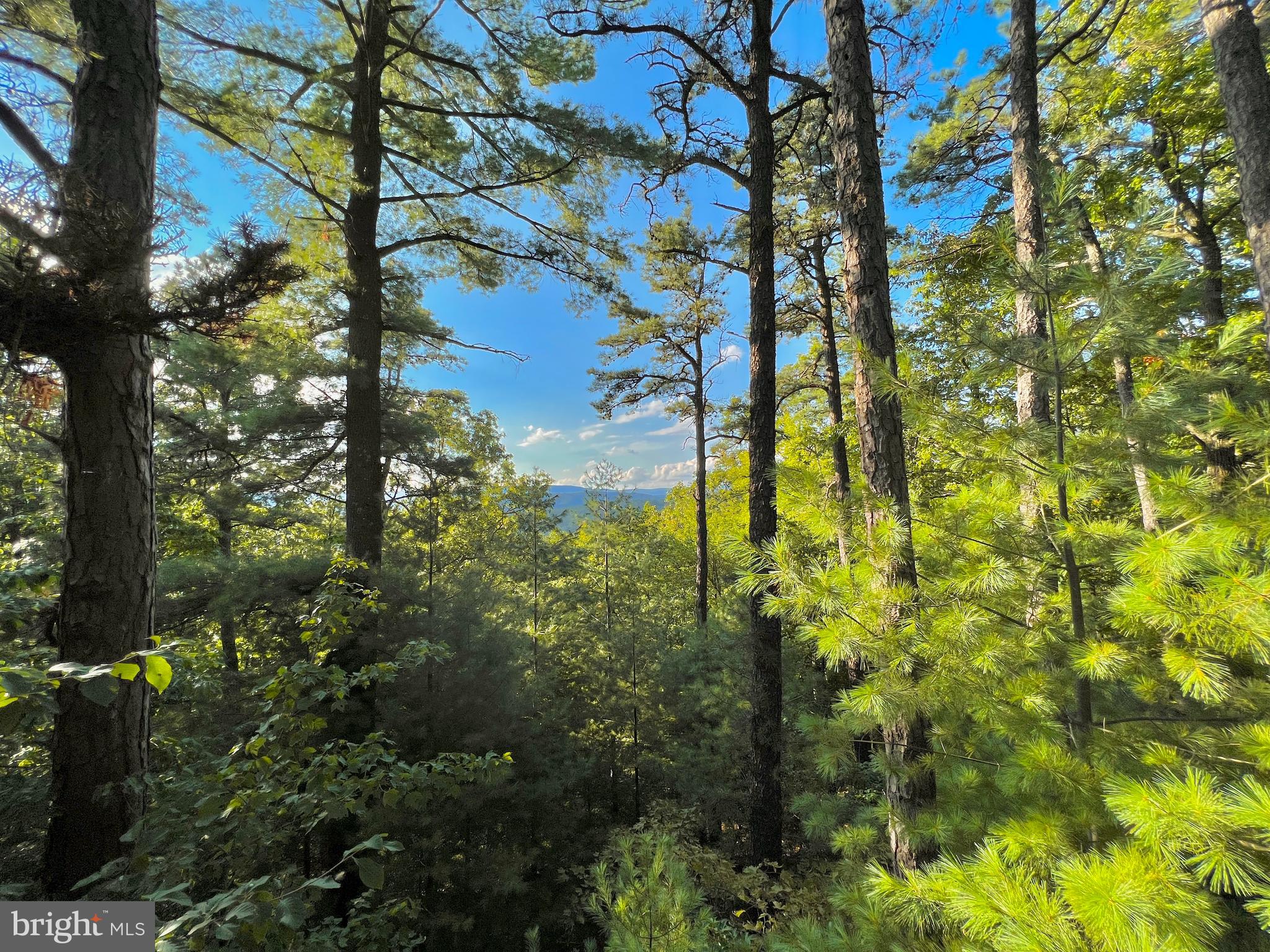 LOST RIVER VALLEY PROPERTY OWNERS ASSOCIATION - Residential