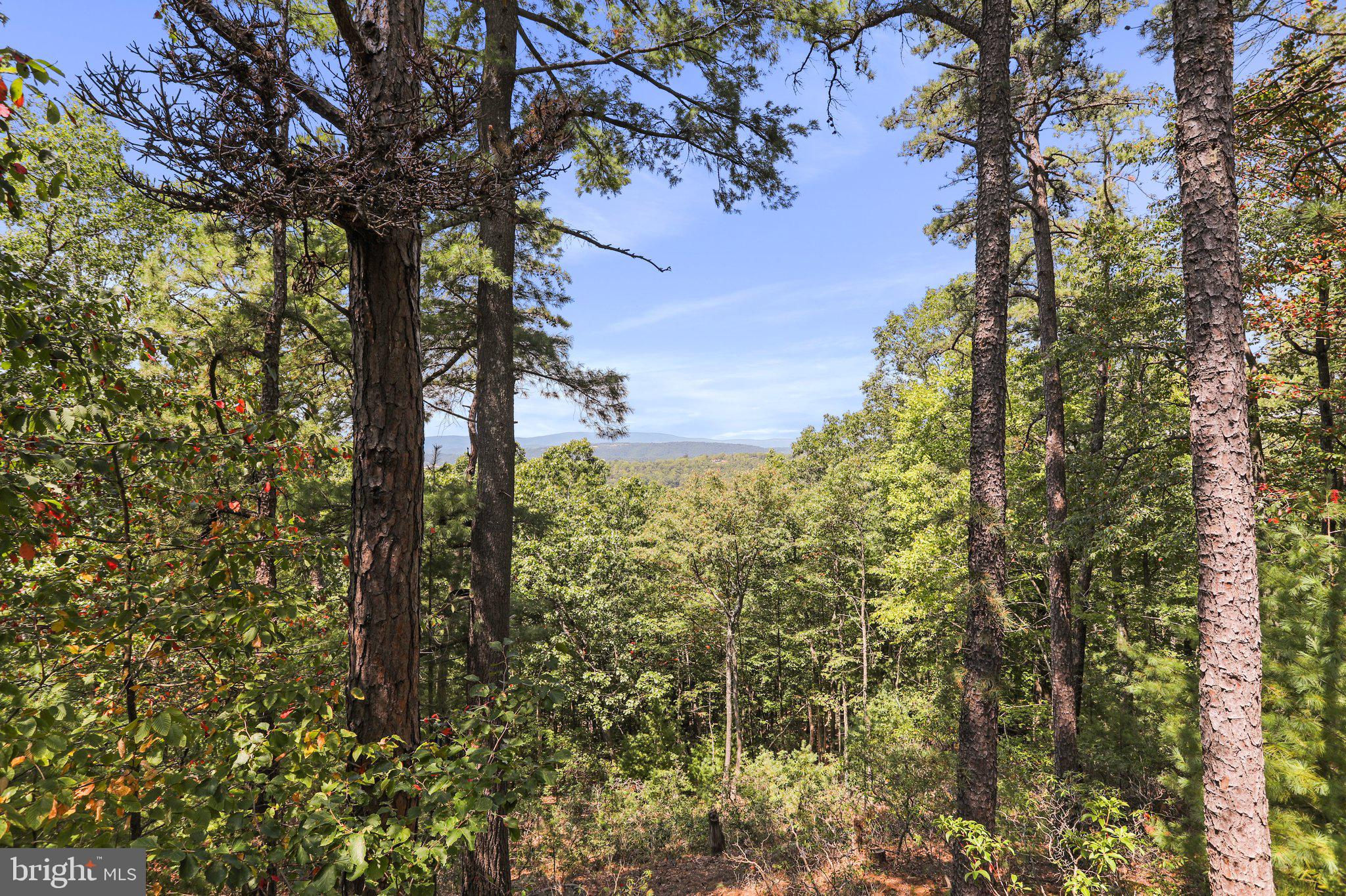 LOST RIVER VALLEY PROPERTY OWNERS ASSOCIATION - Residential