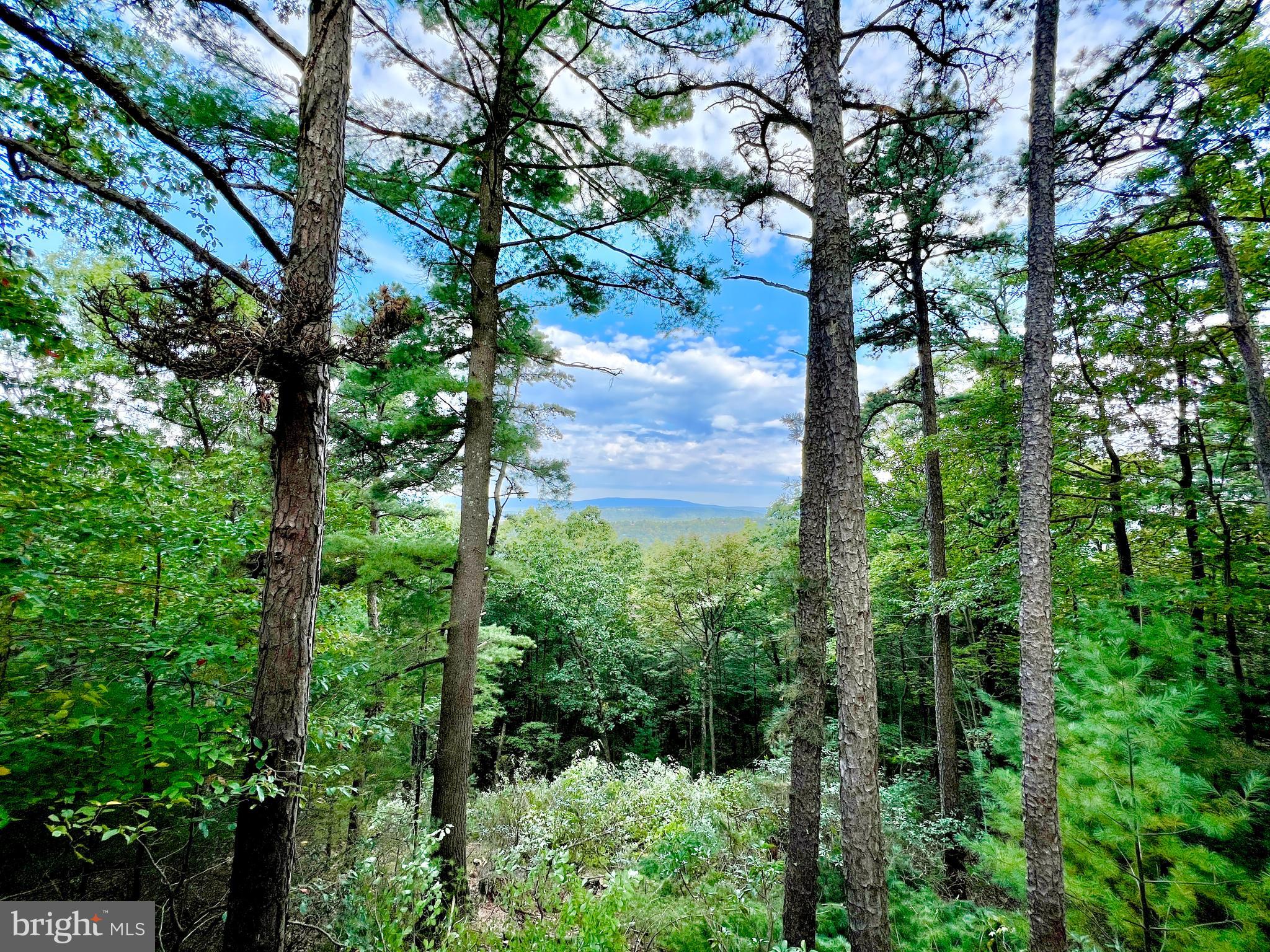 LOST RIVER VALLEY PROPERTY OWNERS ASSOCIATION - Residential