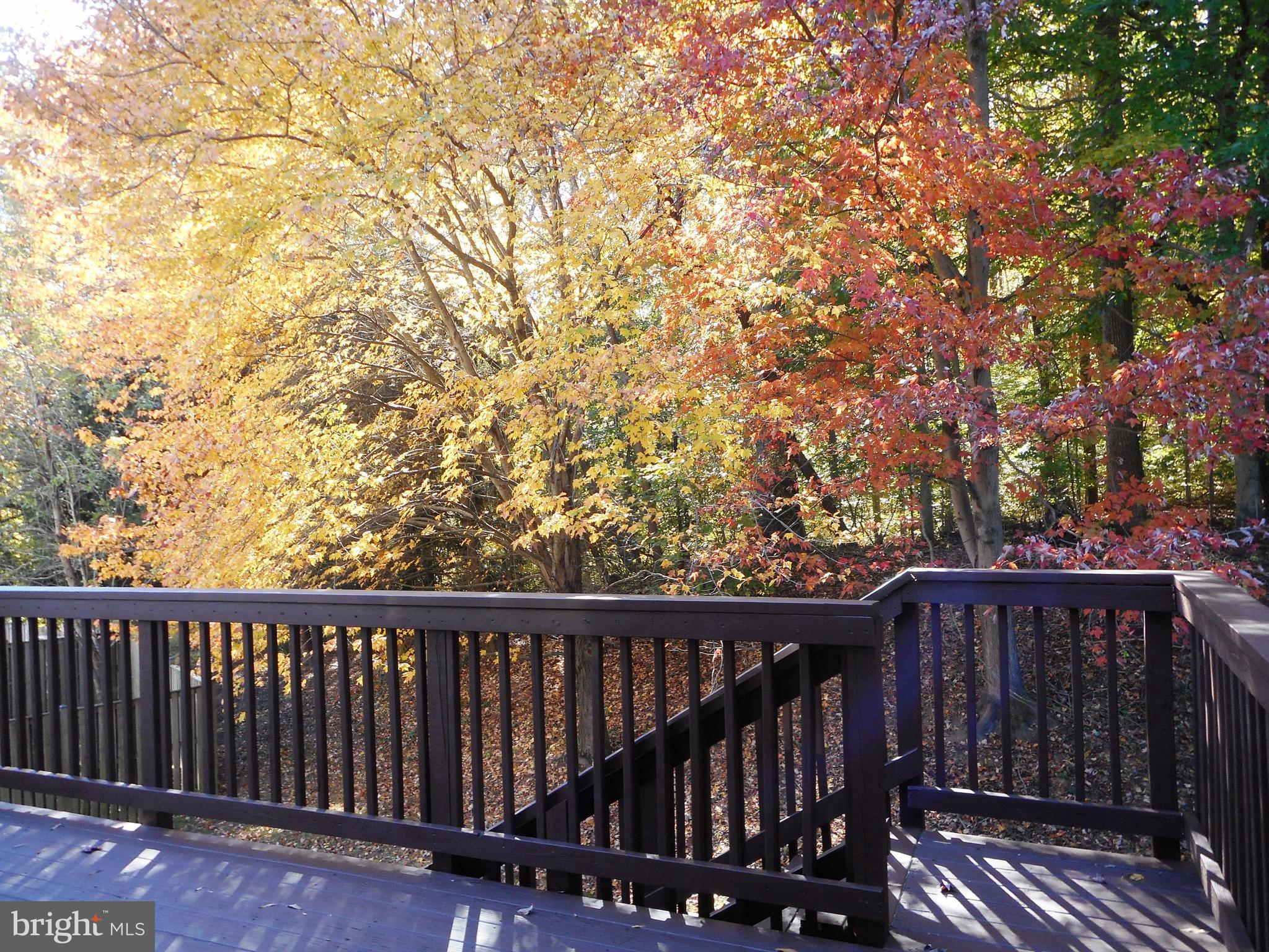 KINGS GRANT - Residential