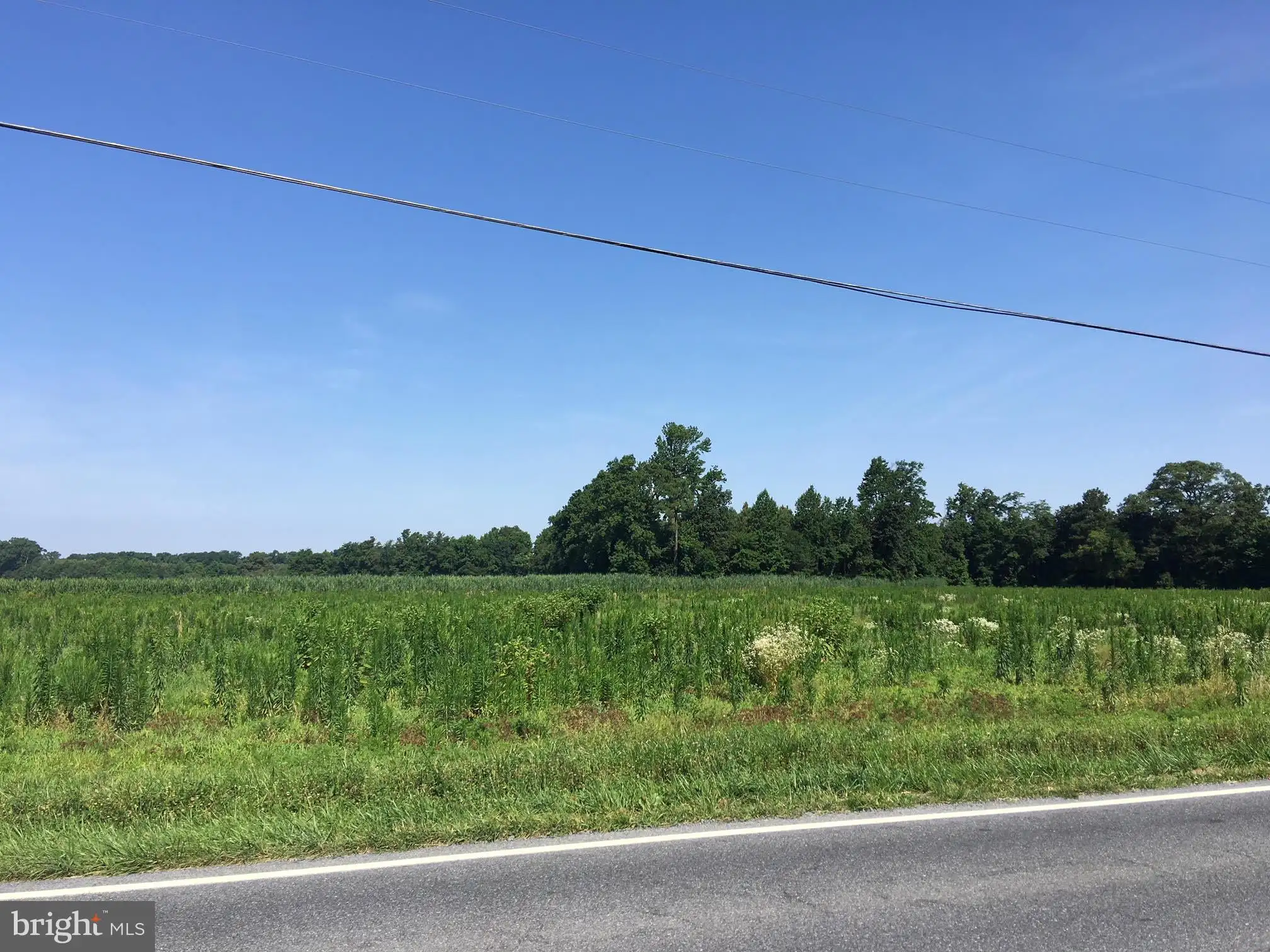 Lot 5 Old Stage Rd, Delmar, DE 19940