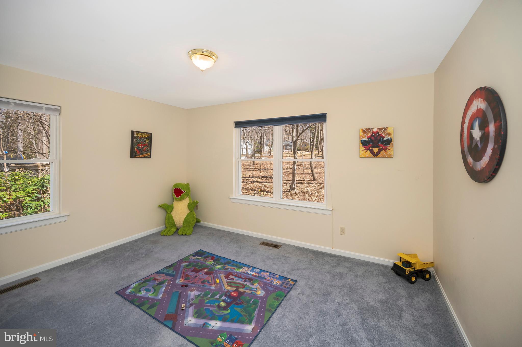 LAKE OF THE WOODS - Residential