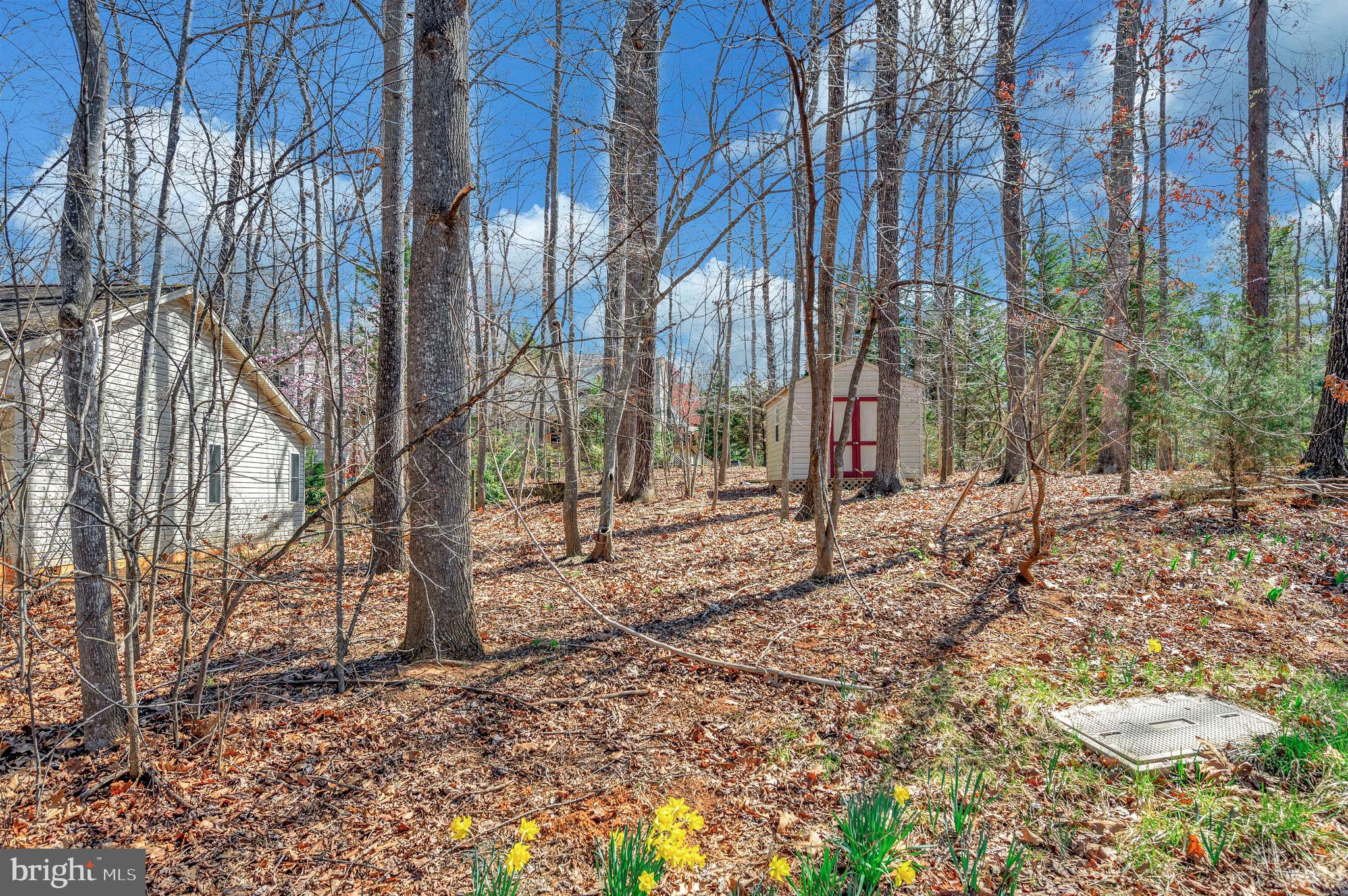 LAKE OF THE WOODS - Residential