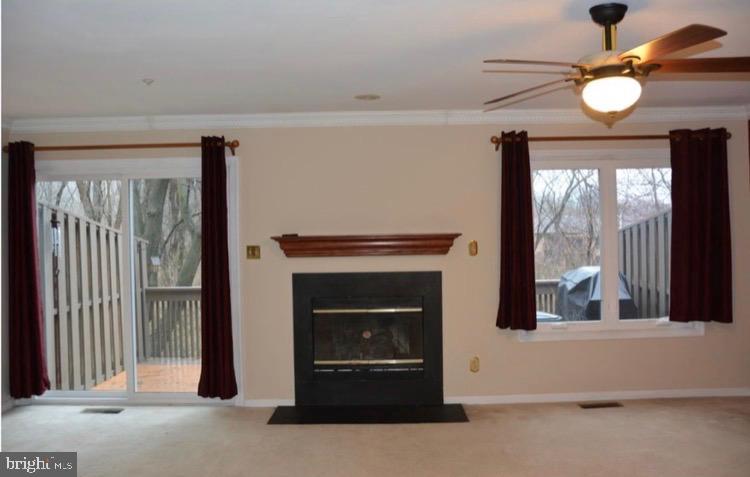 232 FOX RUN