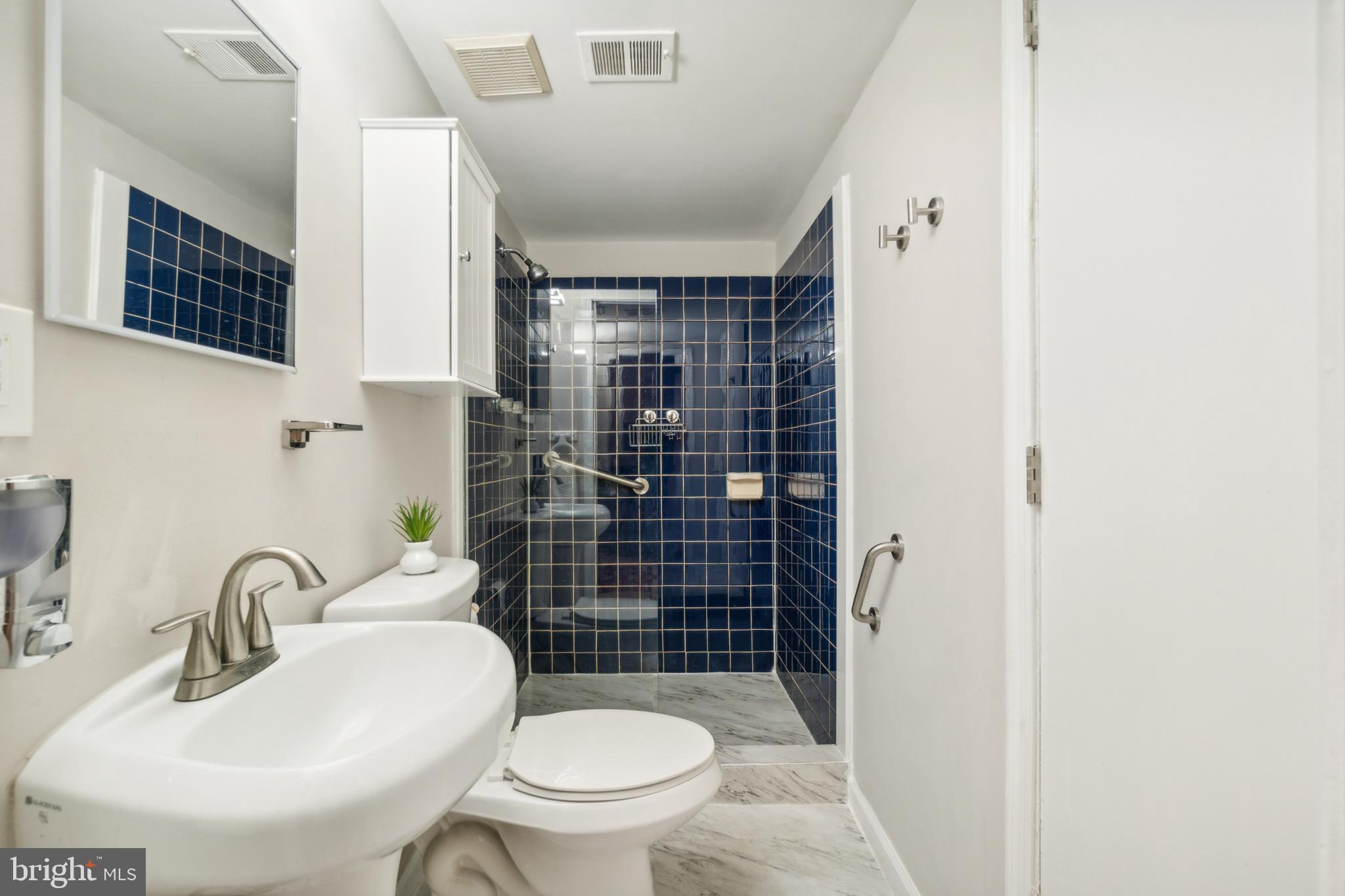 BLAKEVIEW - Residential