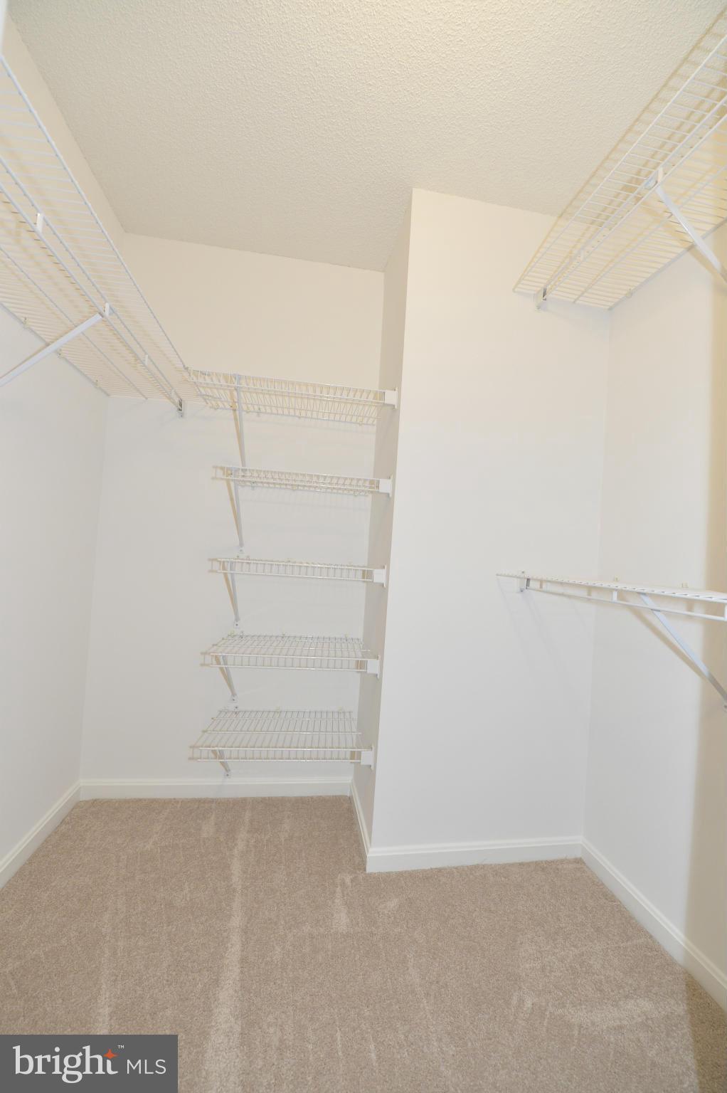 CARLYLE TOWERS - Residential Lease