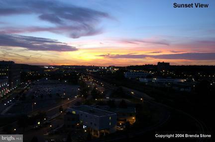 CARLYLE TOWERS - Residential Lease