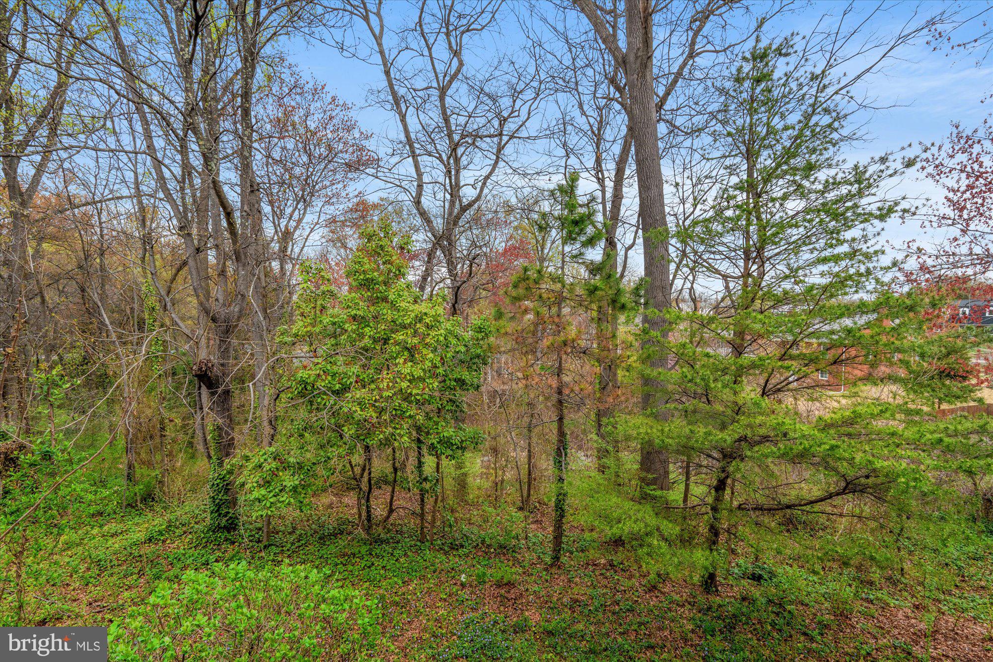 WELLINGTON COMMONS - Residential