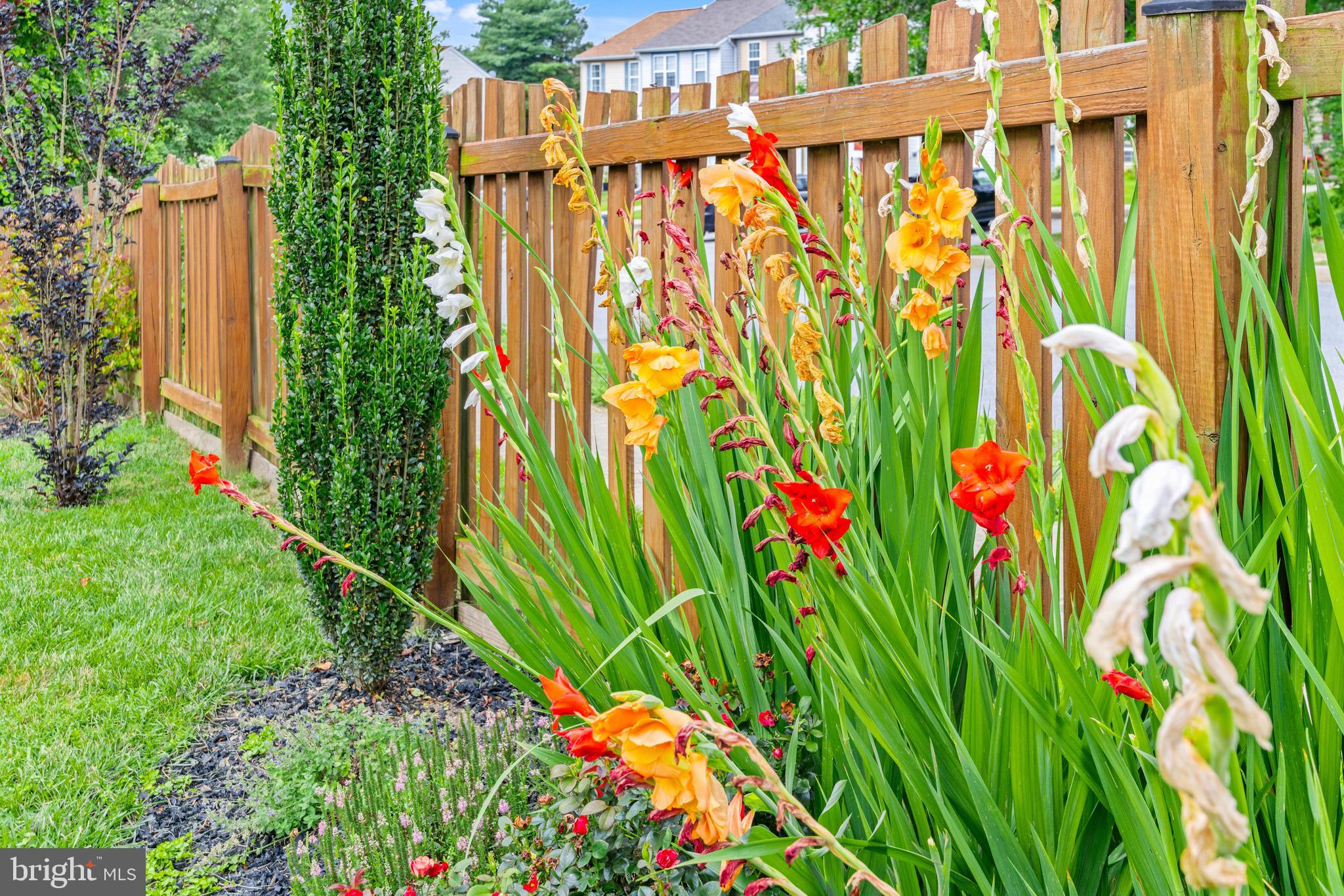 STONERIDGE OVERLOOK - Residential
