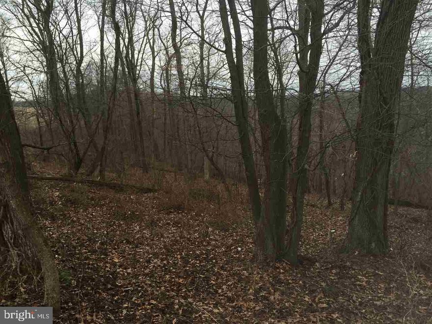 50+ acres of wooded land with great privacy.  Property has been perc approved, but needs a well. Access to property is off Peach Road.  Call agent for details.