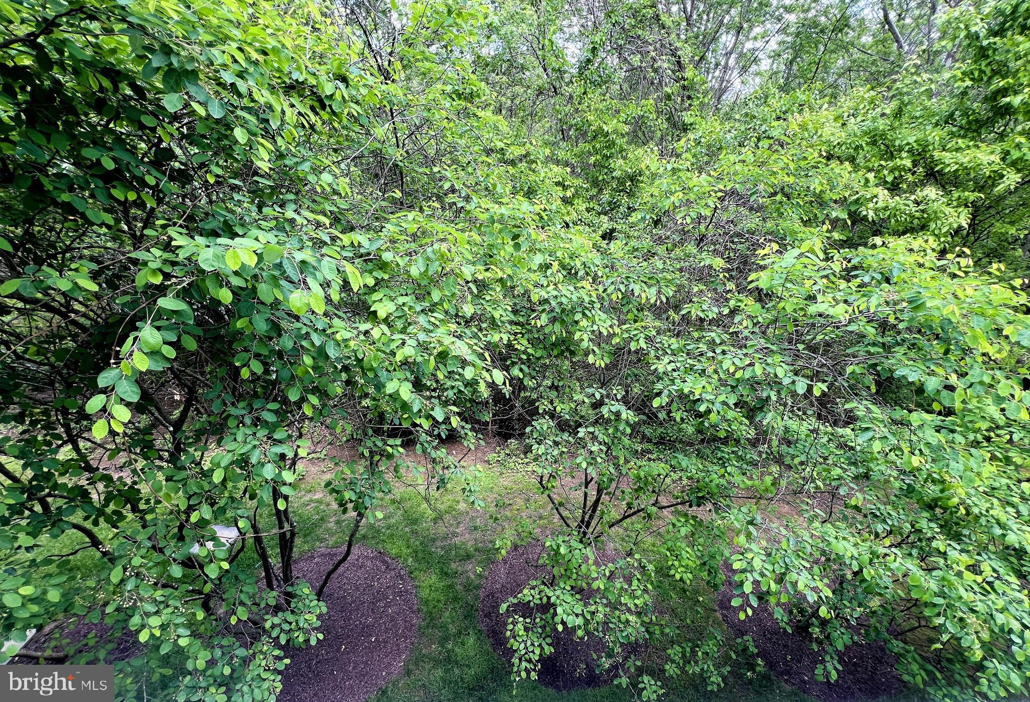 203 OAK KNOLL TERRACE