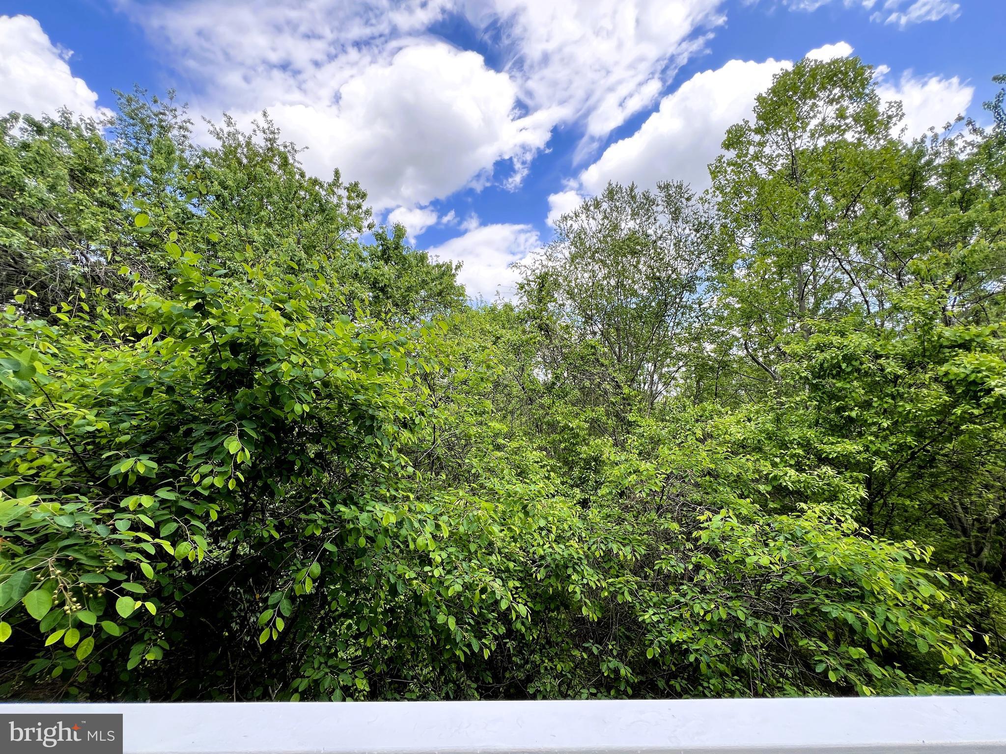 203 OAK KNOLL TERRACE