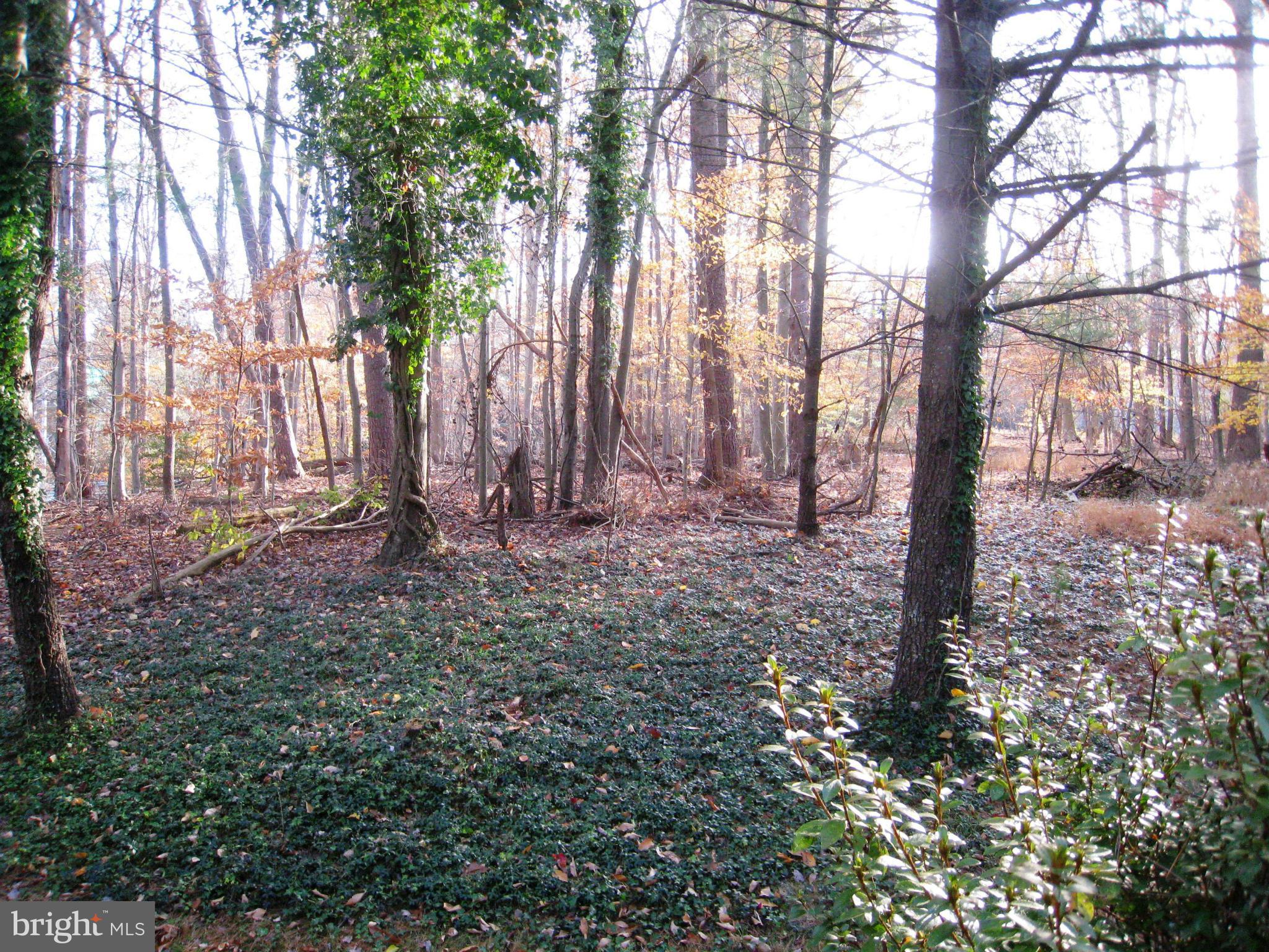 OLDE OAK RIDGE - Residential Lease