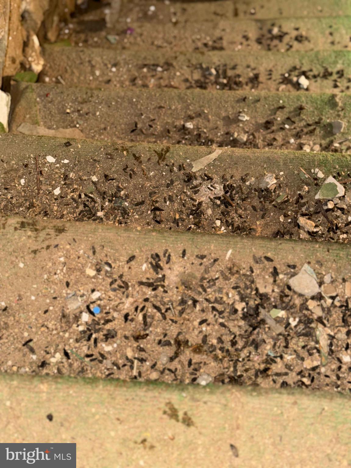 HARROWGATE - Residential