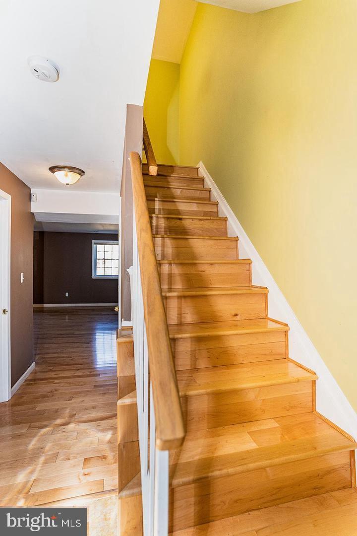 FOREST WALK - Residential Lease