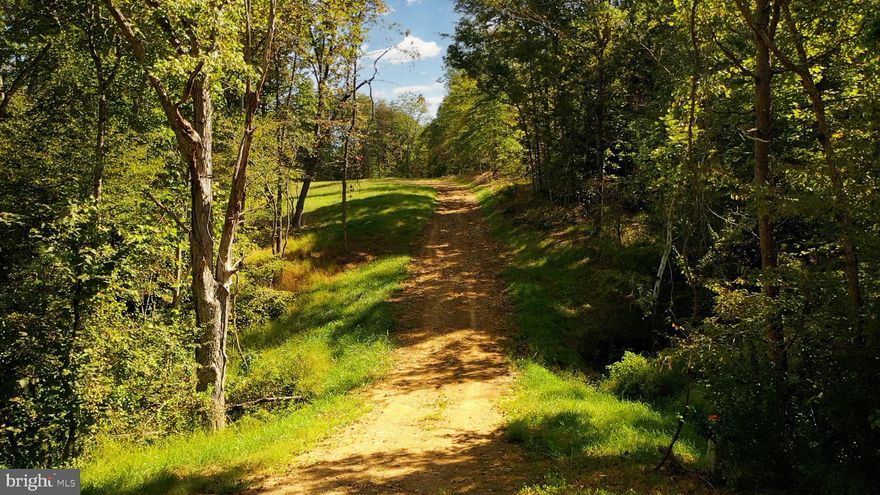 Just a few miles to center of Warrenton.  Beautiful partially cleared lot with initial driveway cut in.  Four-bedroom soil work completed and ready to submit to the county.  Very large area recently cleared can be the home site or wooded area has plenty of space to clear and build a large home with huge backyard and room for a pool and outbuilding.  This property has loads of privacy and winter views located close to town right off Wilson Road.  Seller is Owner/Agent.  Back property line recently surveyed and marked with boundary and BLM.  Custom builder available to help with purchase and construction.